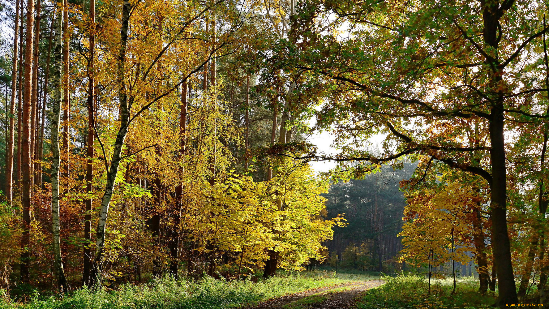 природа, дороги, тракт