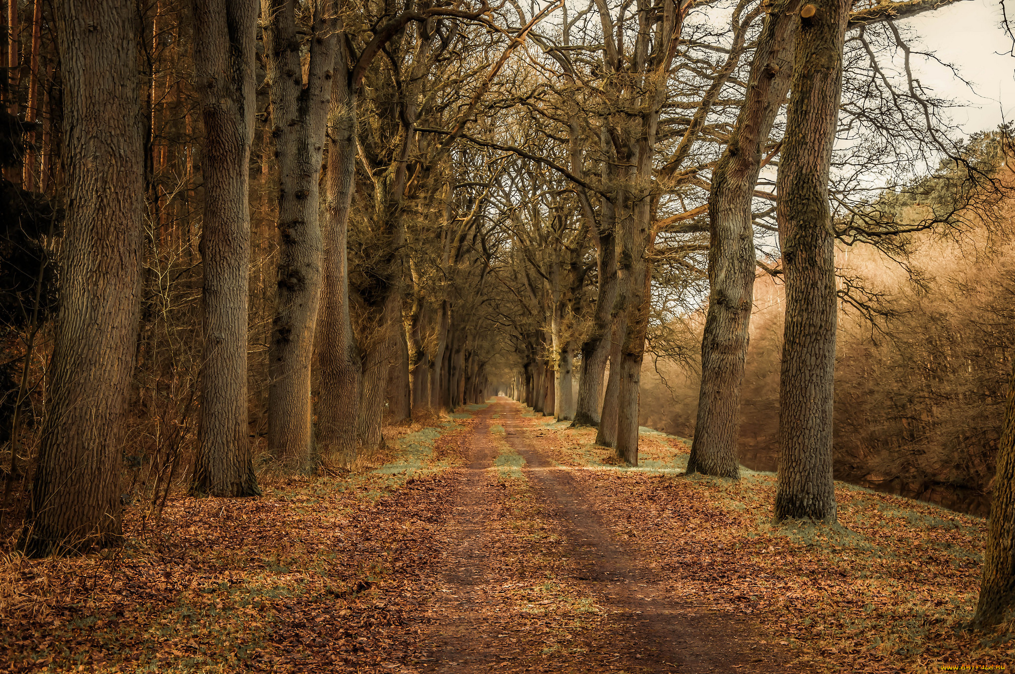 природа, дороги, тракт