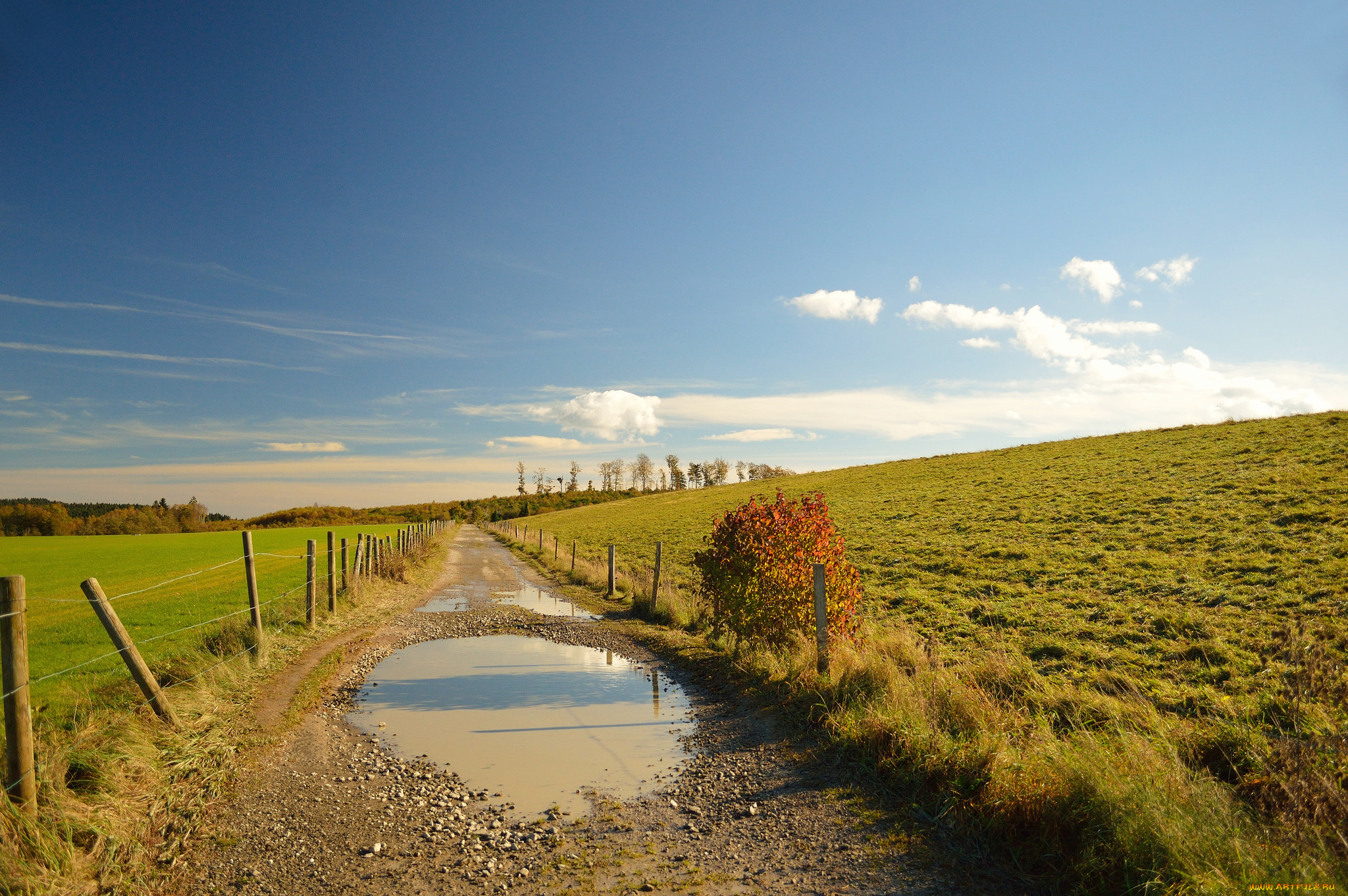 природа, дороги, тракт