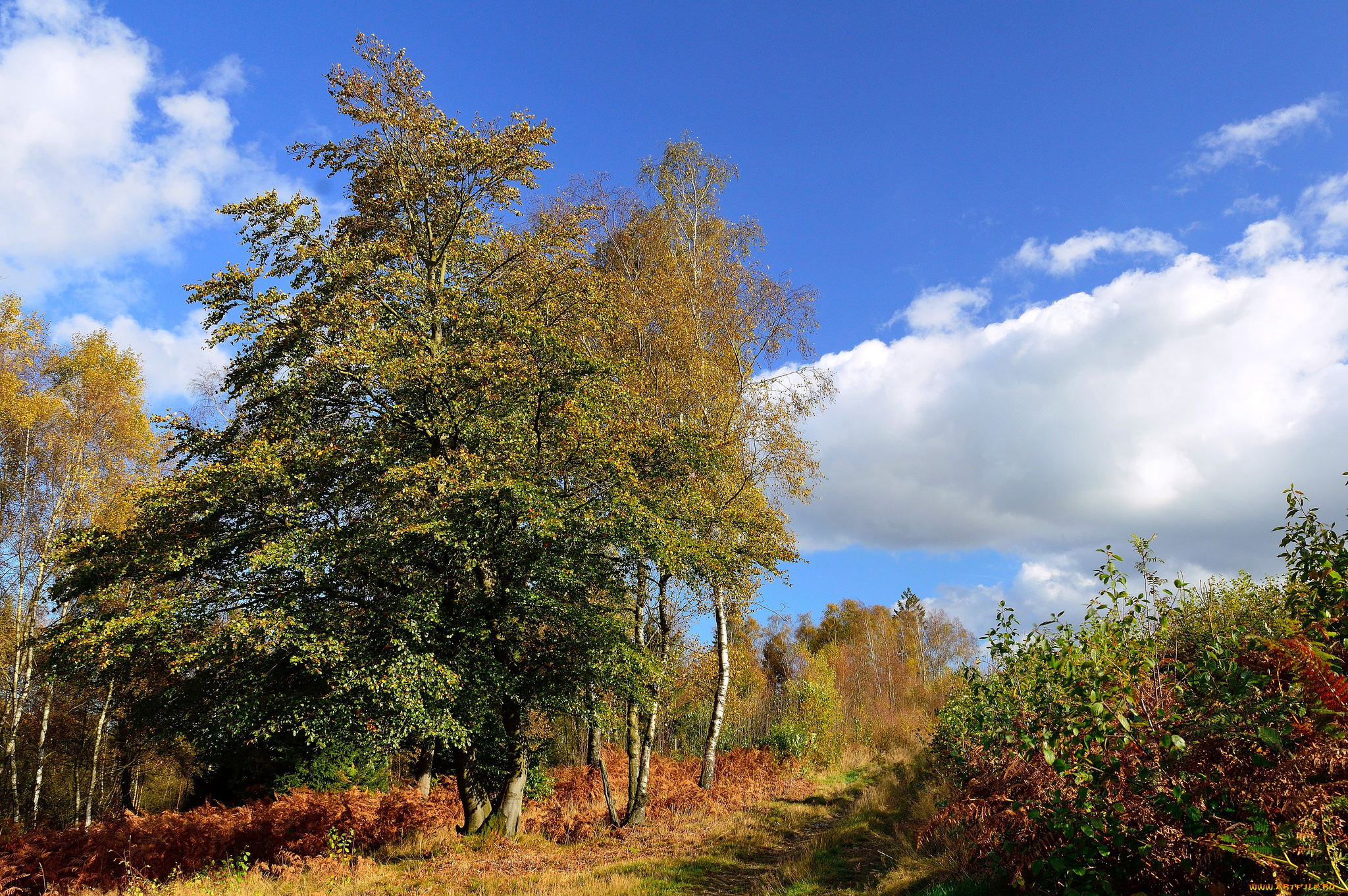 природа, дороги, тракт