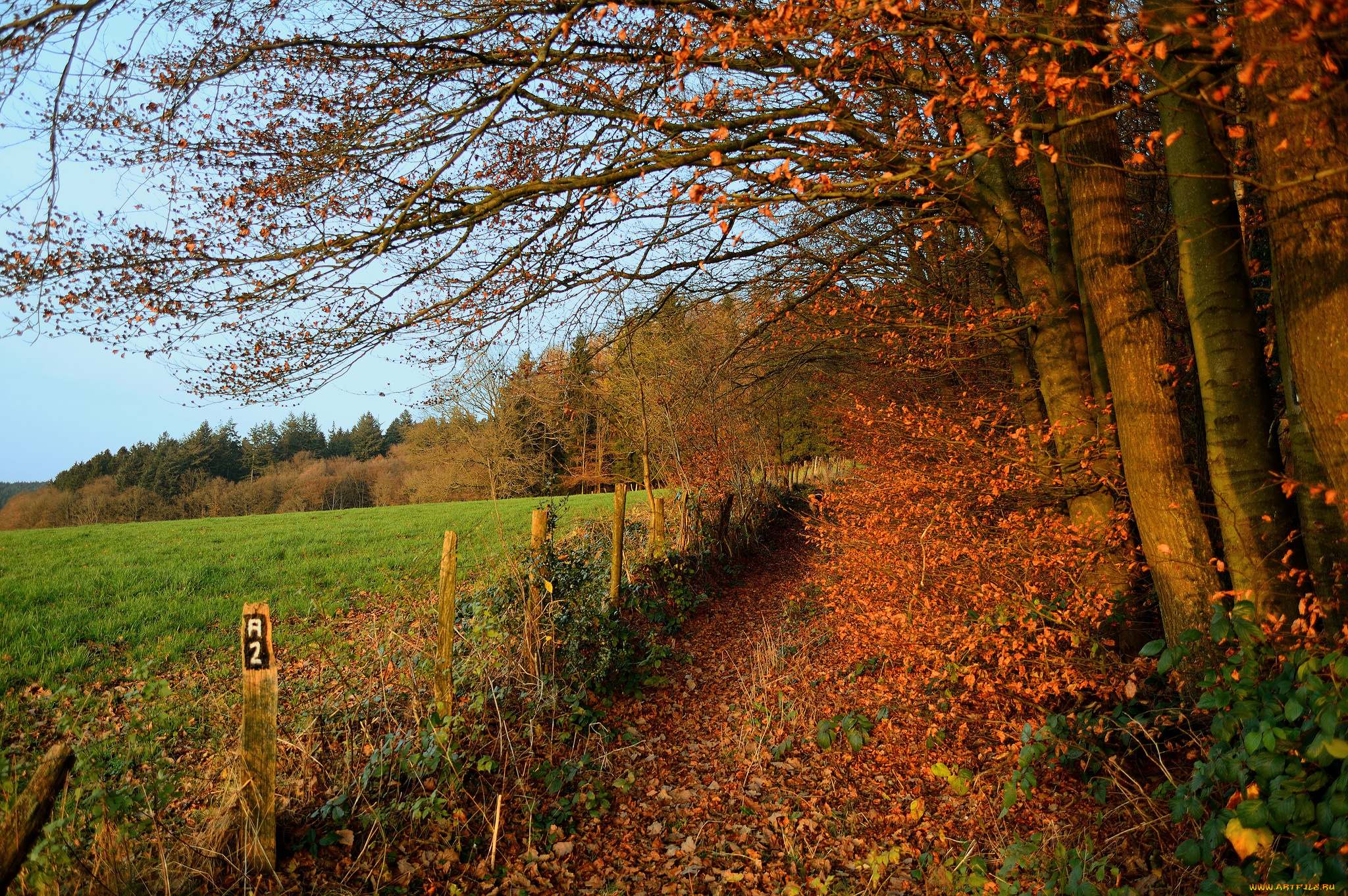 природа, дороги, тракт