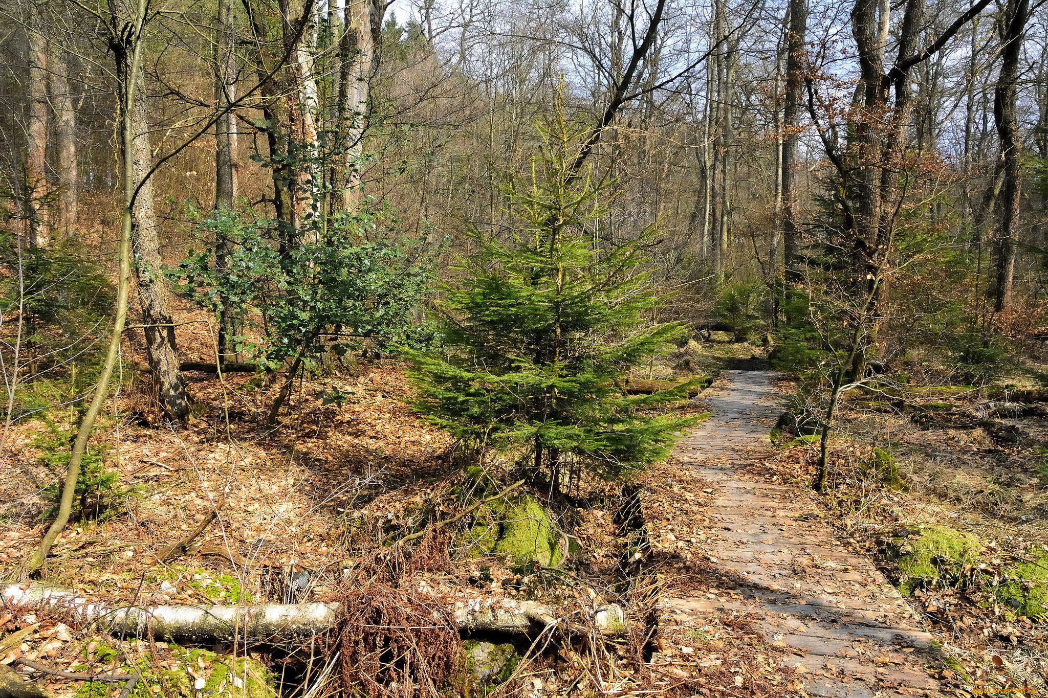 природа, дороги, тракт