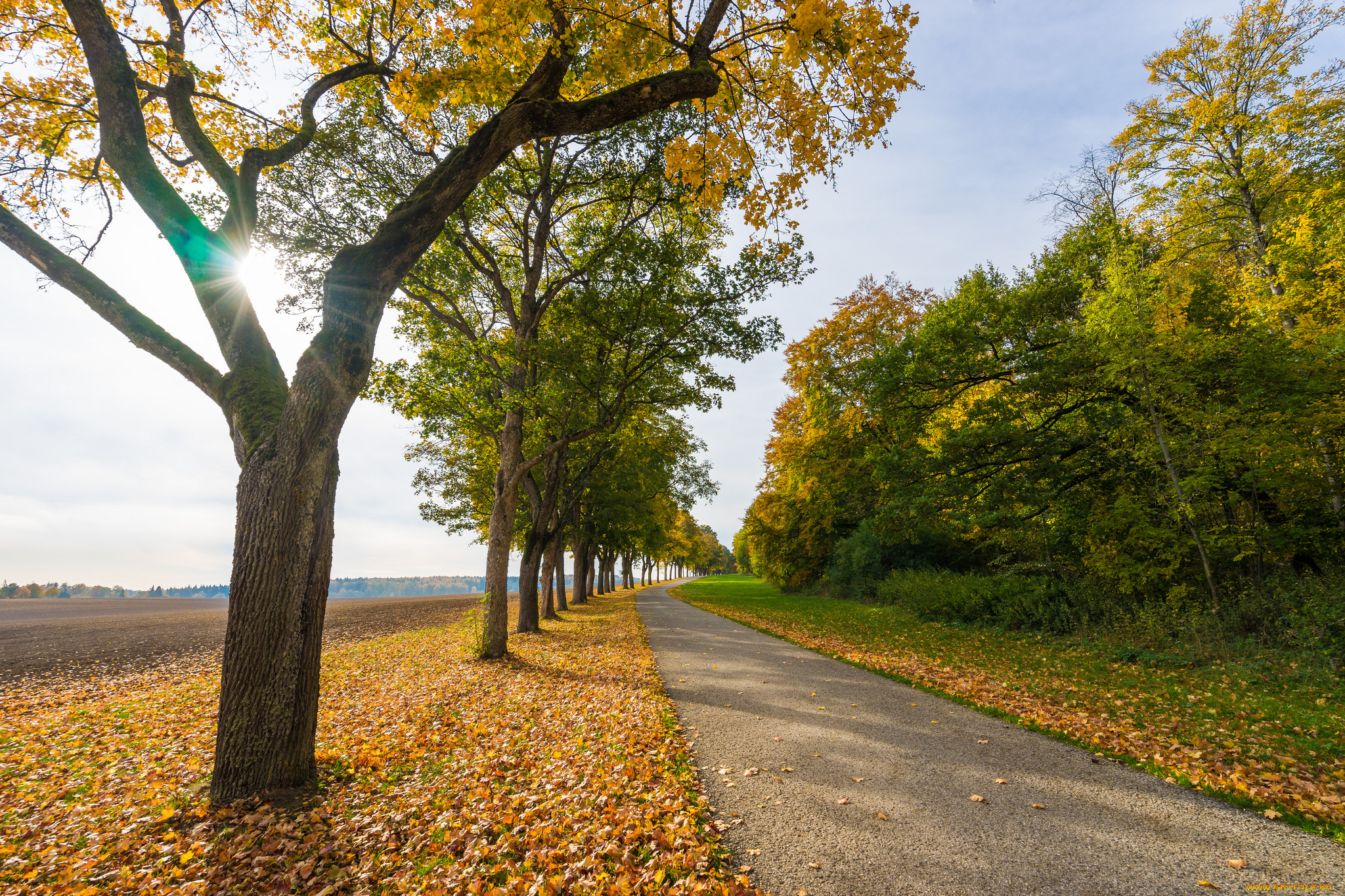 природа, дороги, тракт