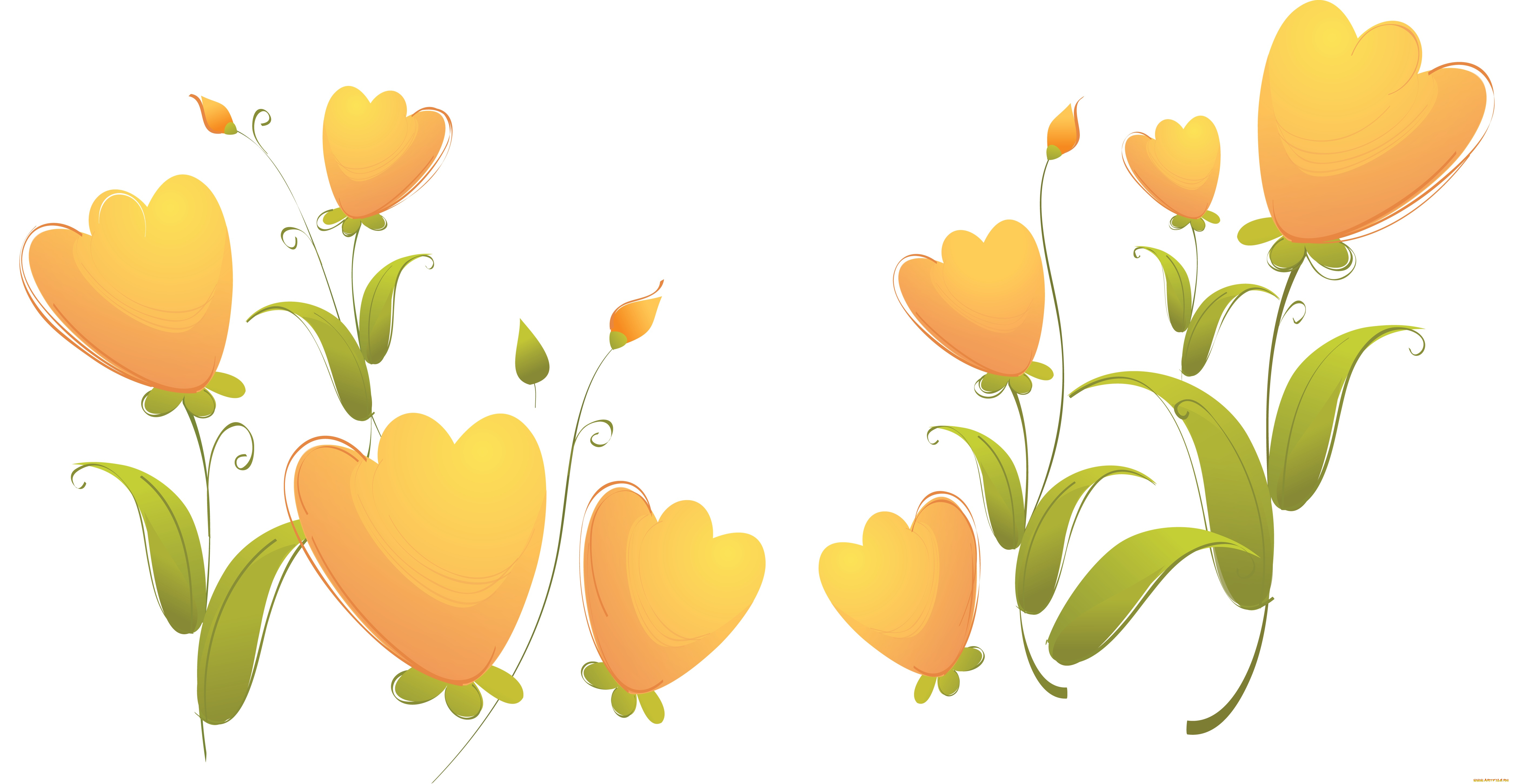 векторная, графика, цветы, , flowers, цветы, фон, лепестки