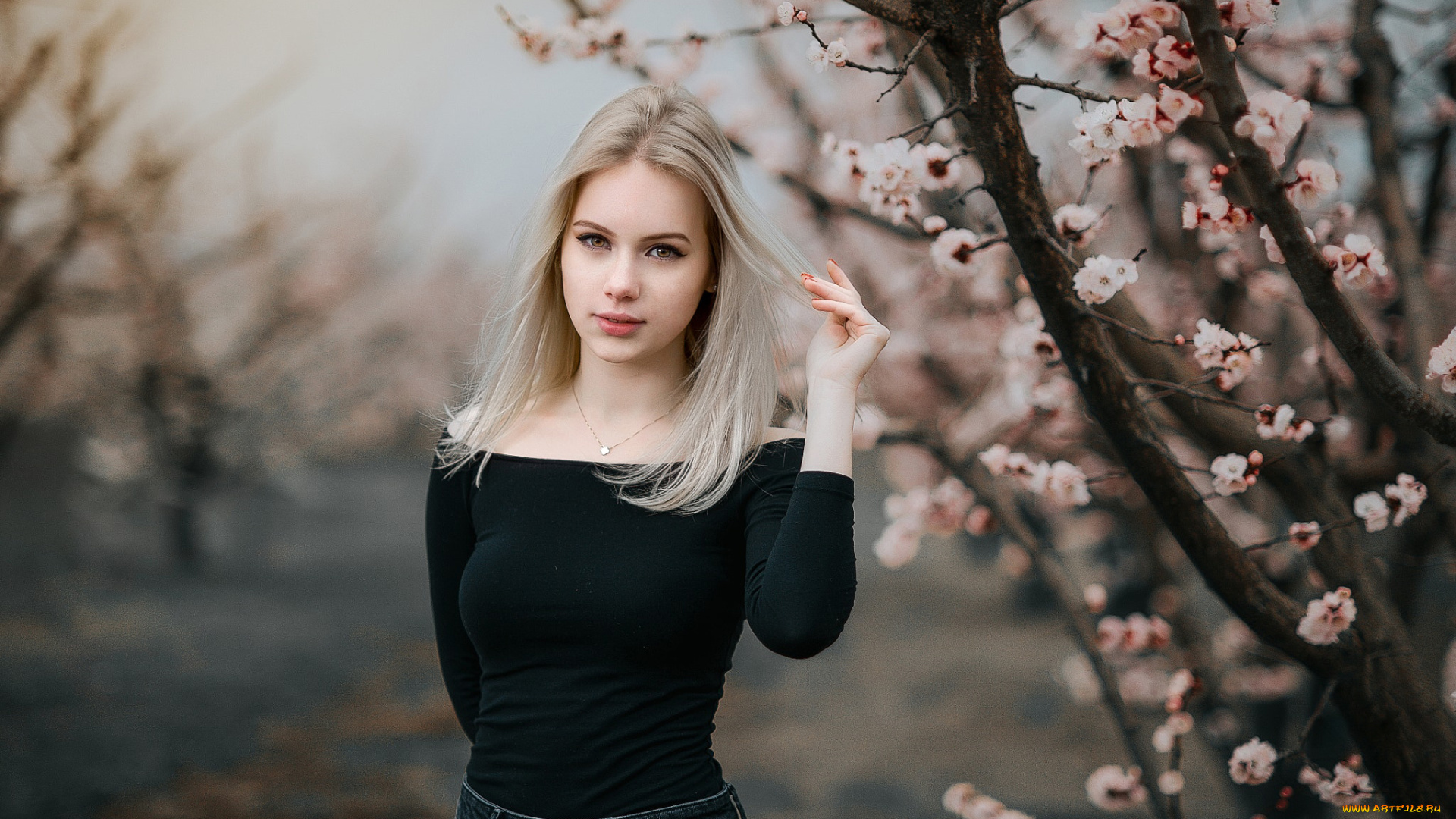 девушки, -unsort, , блондинки, дерево