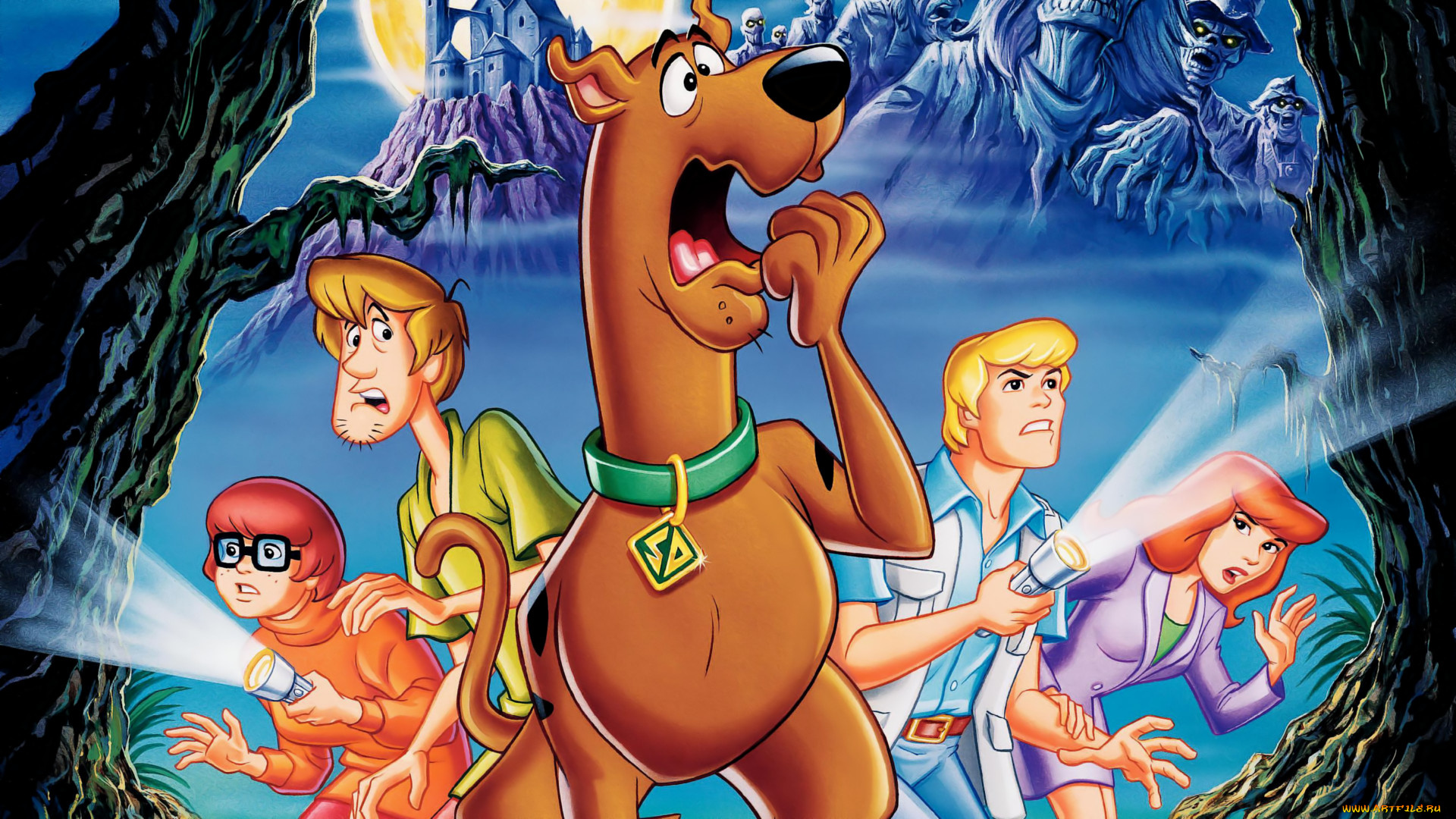мультфильмы, scooby, doo, персонаж