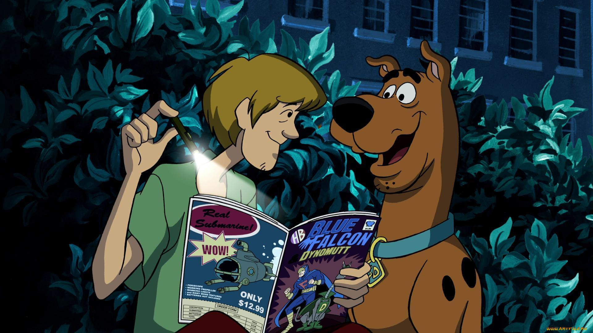 мультфильмы, scooby, doo, персонаж