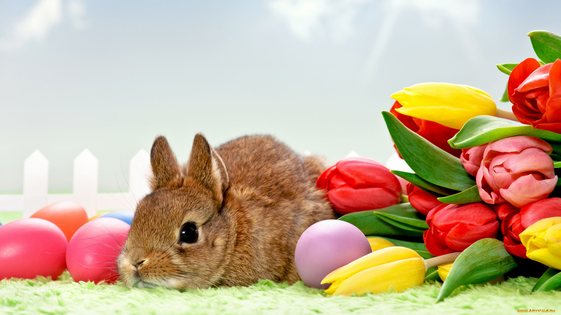 праздничные, пасха, яйца, кролик