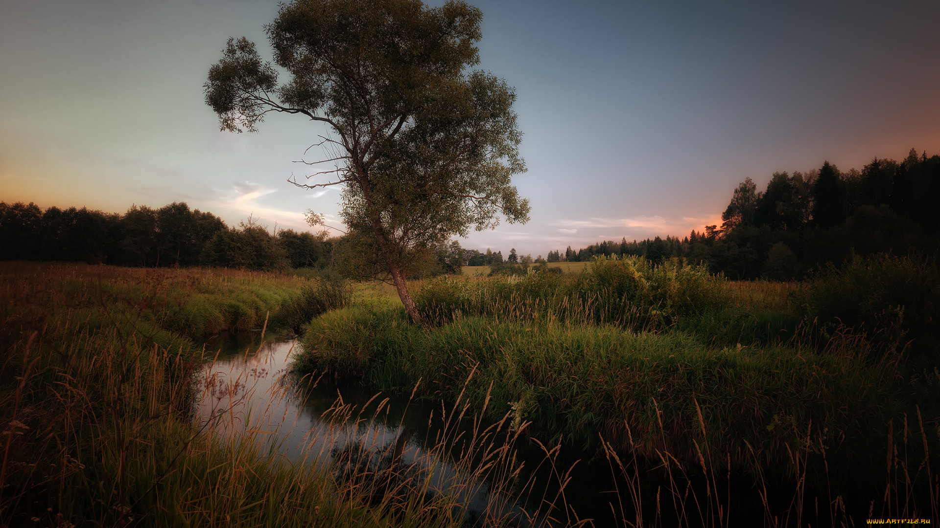 природа, реки, озера, поток, луг