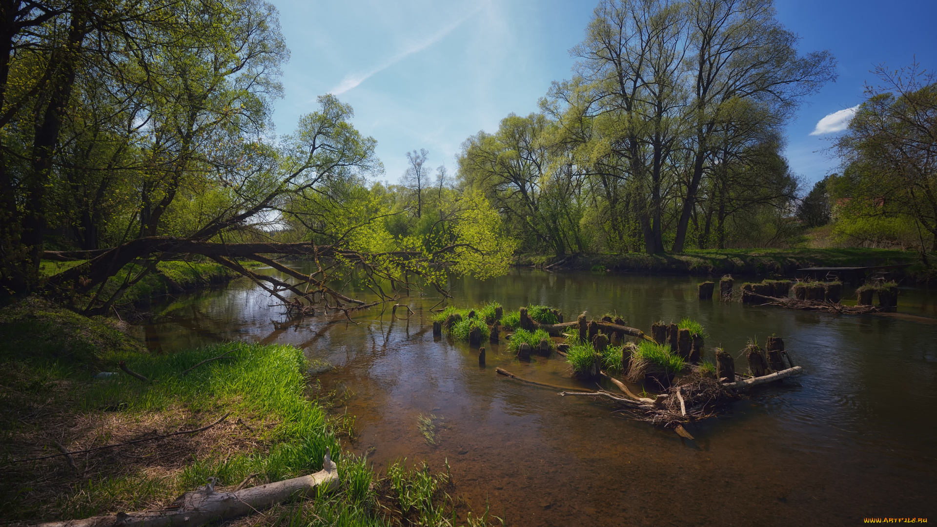 природа, реки, озера, река