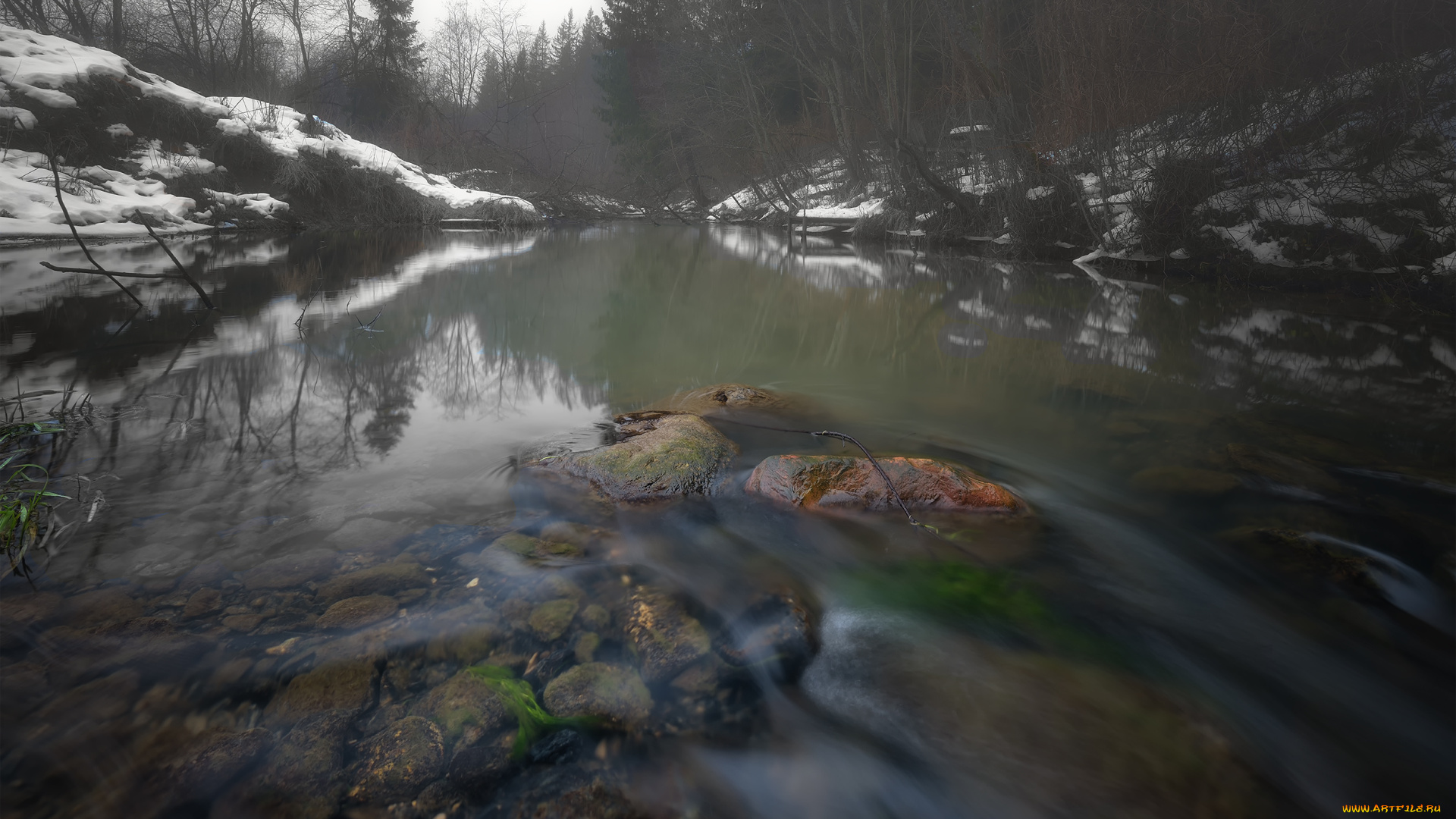 природа, реки, озера, река, лес