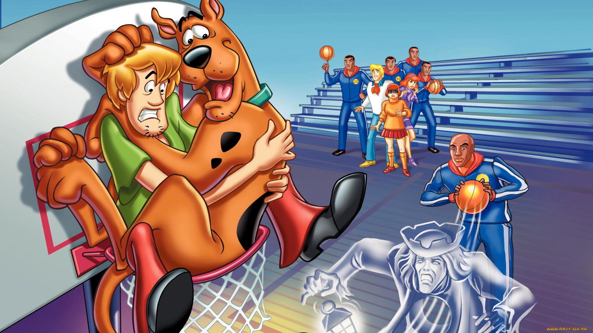 scooby, doo, мультфильмы, персонажи