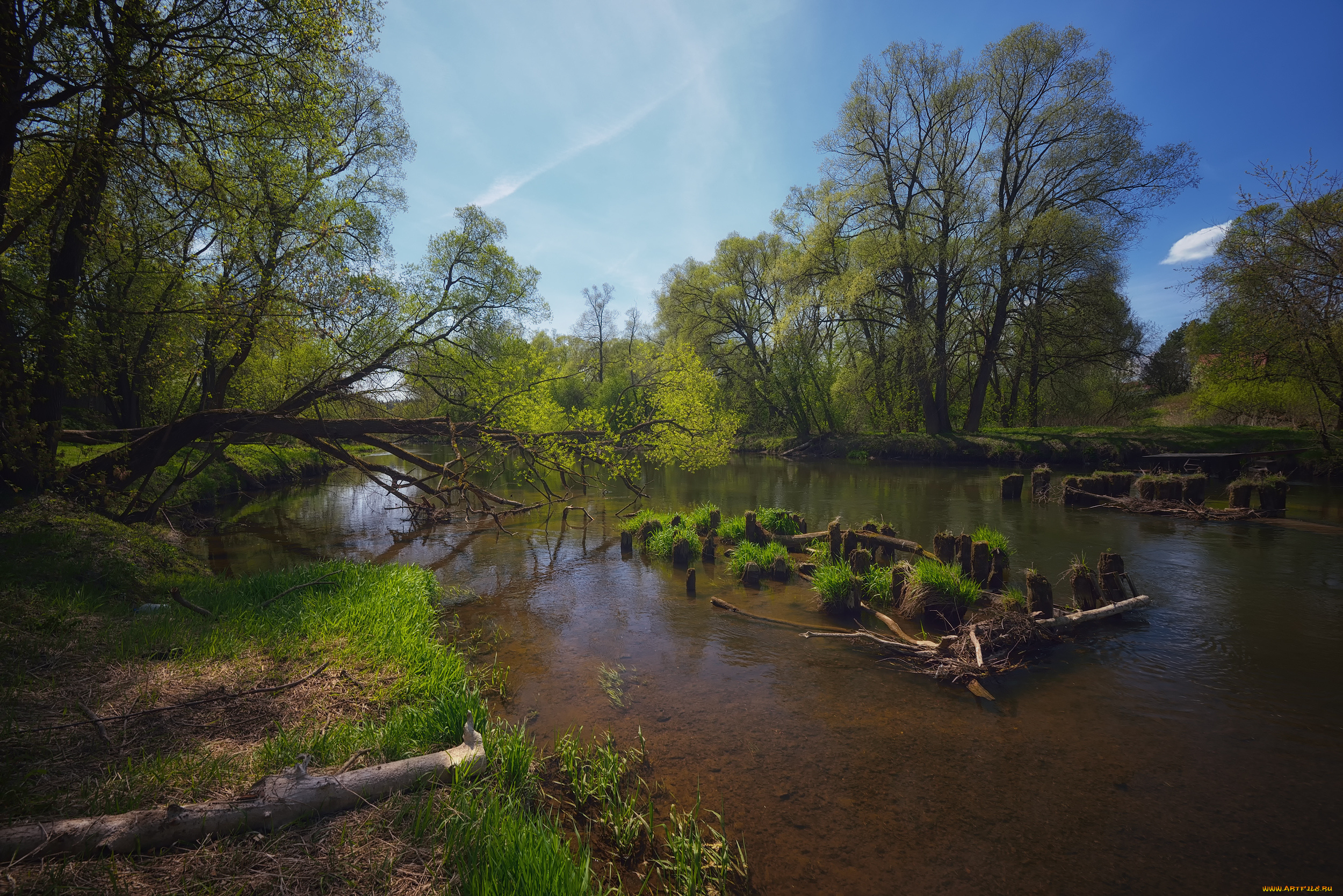 природа, реки, озера, река