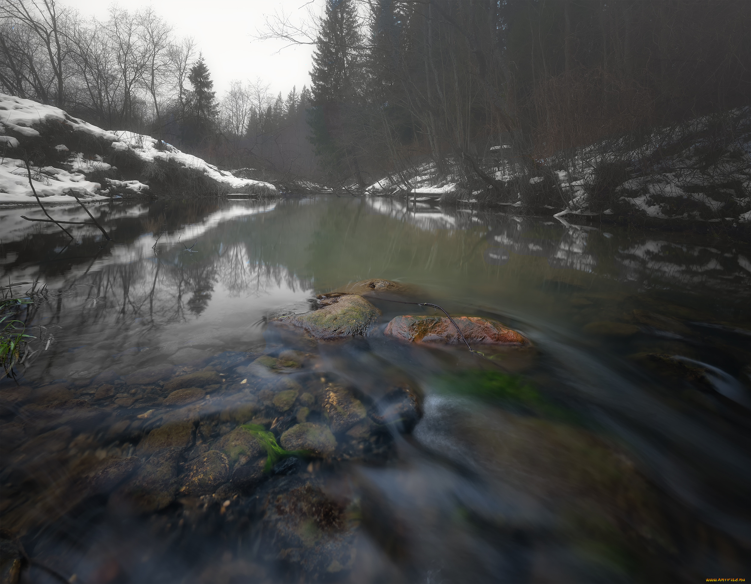 природа, реки, озера, река, лес