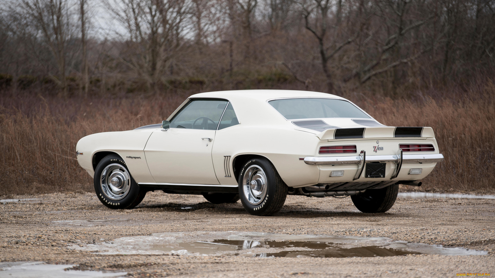 автомобили, camaro