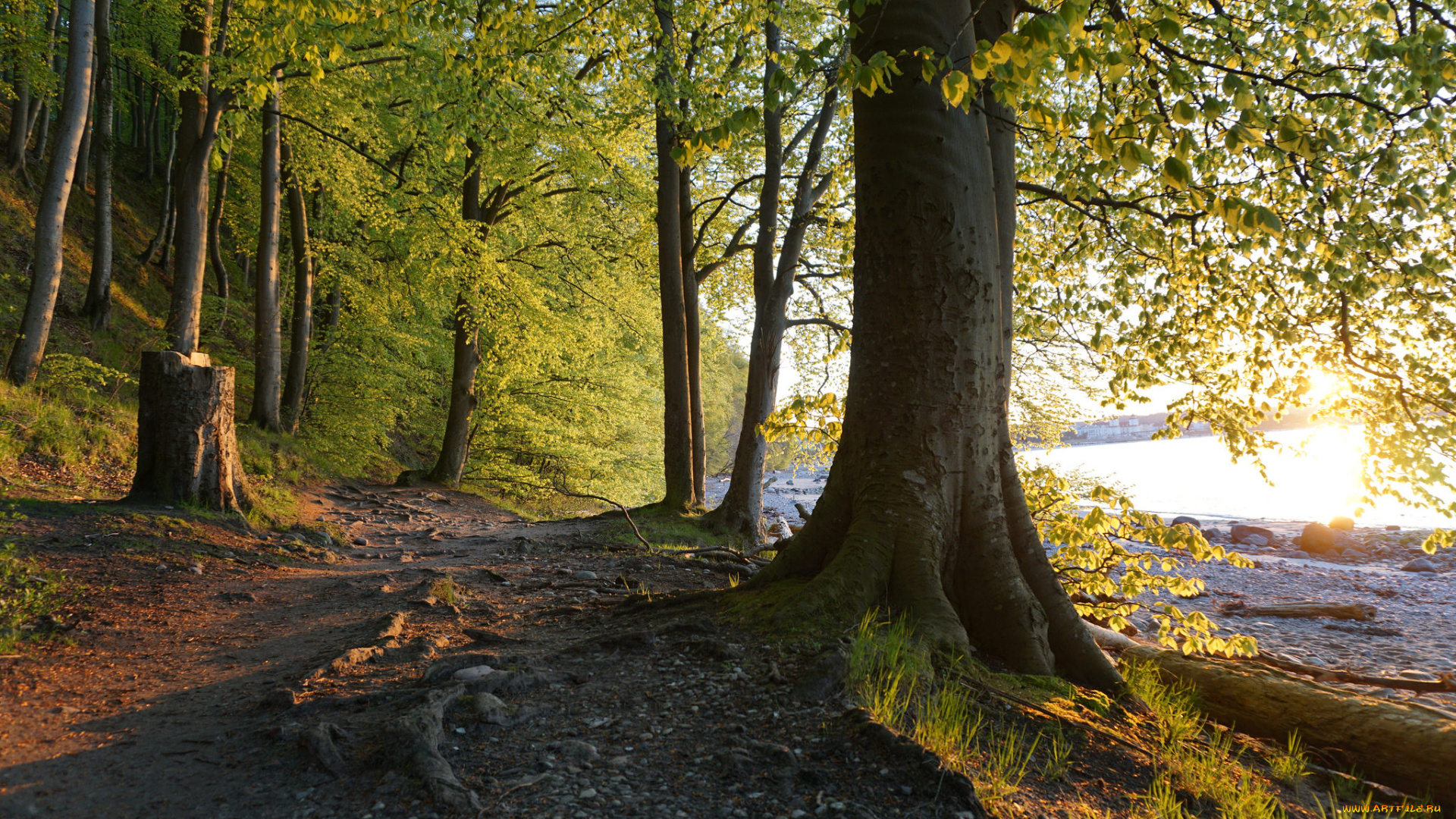 природа, дороги, простор