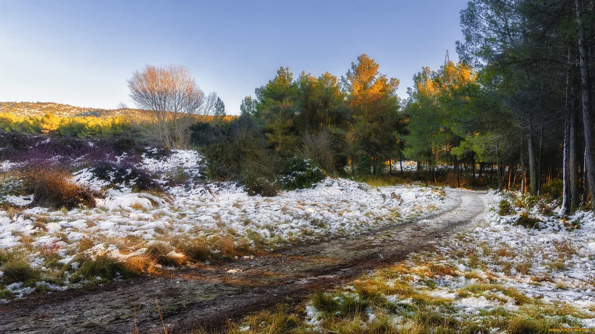 природа, дороги, простор