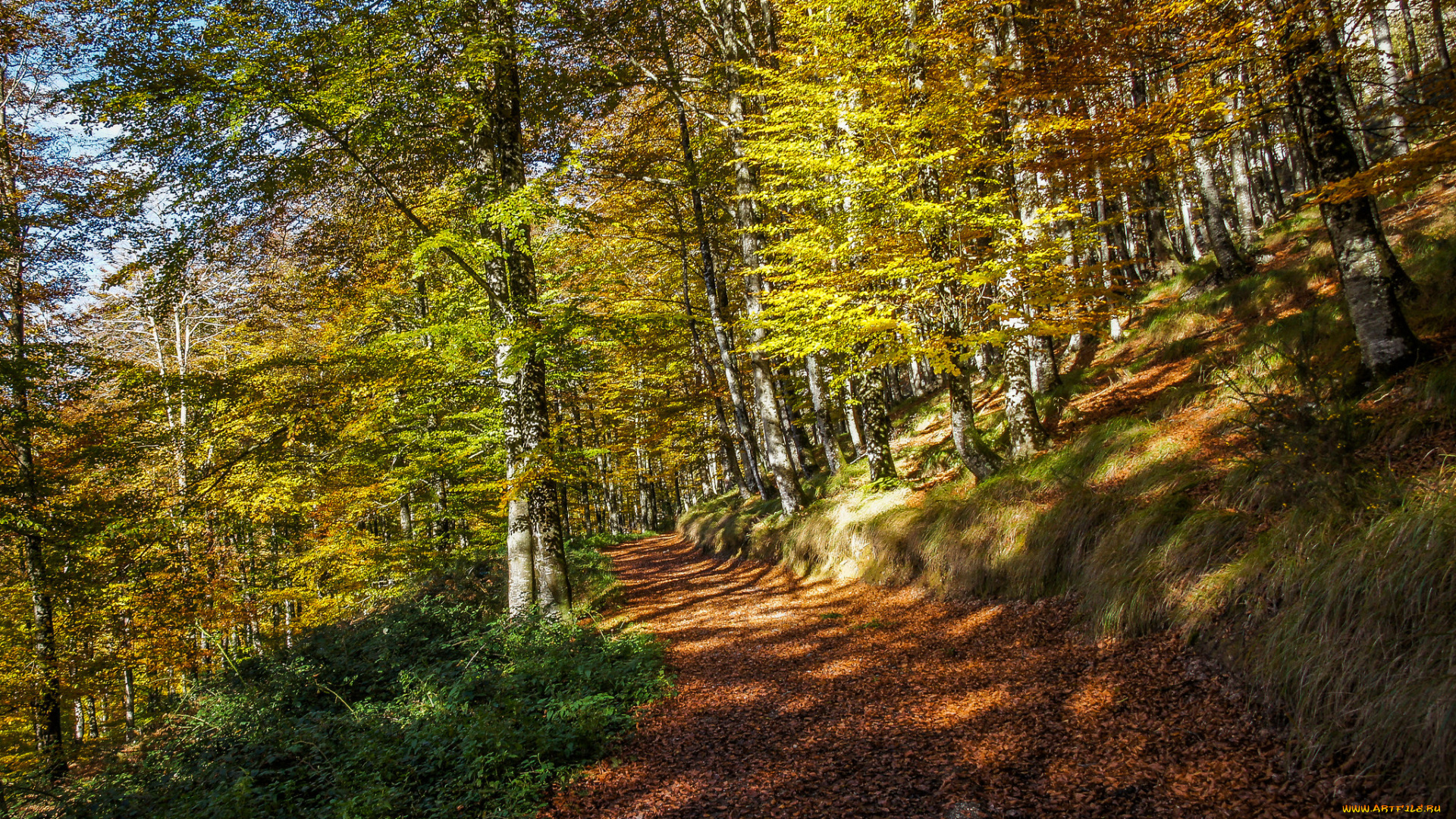 природа, дороги, простор