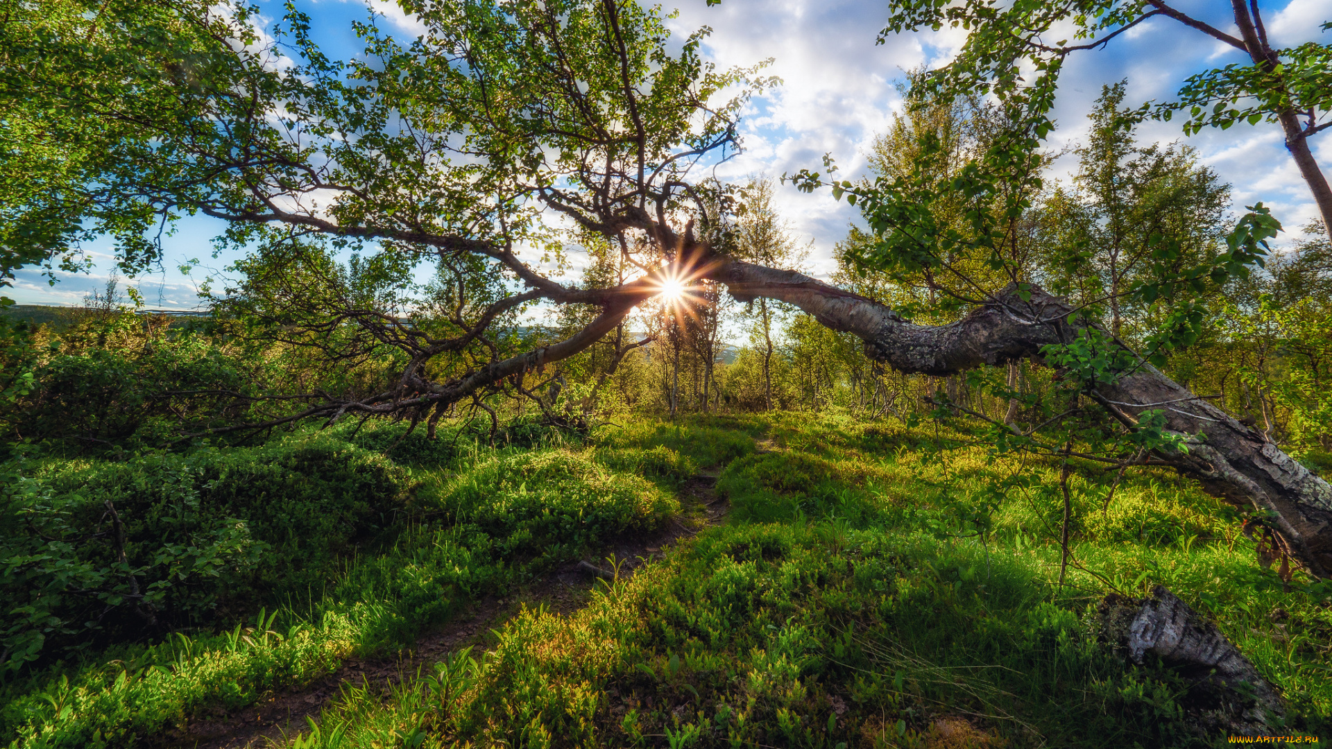 природа, пейзажи, простор
