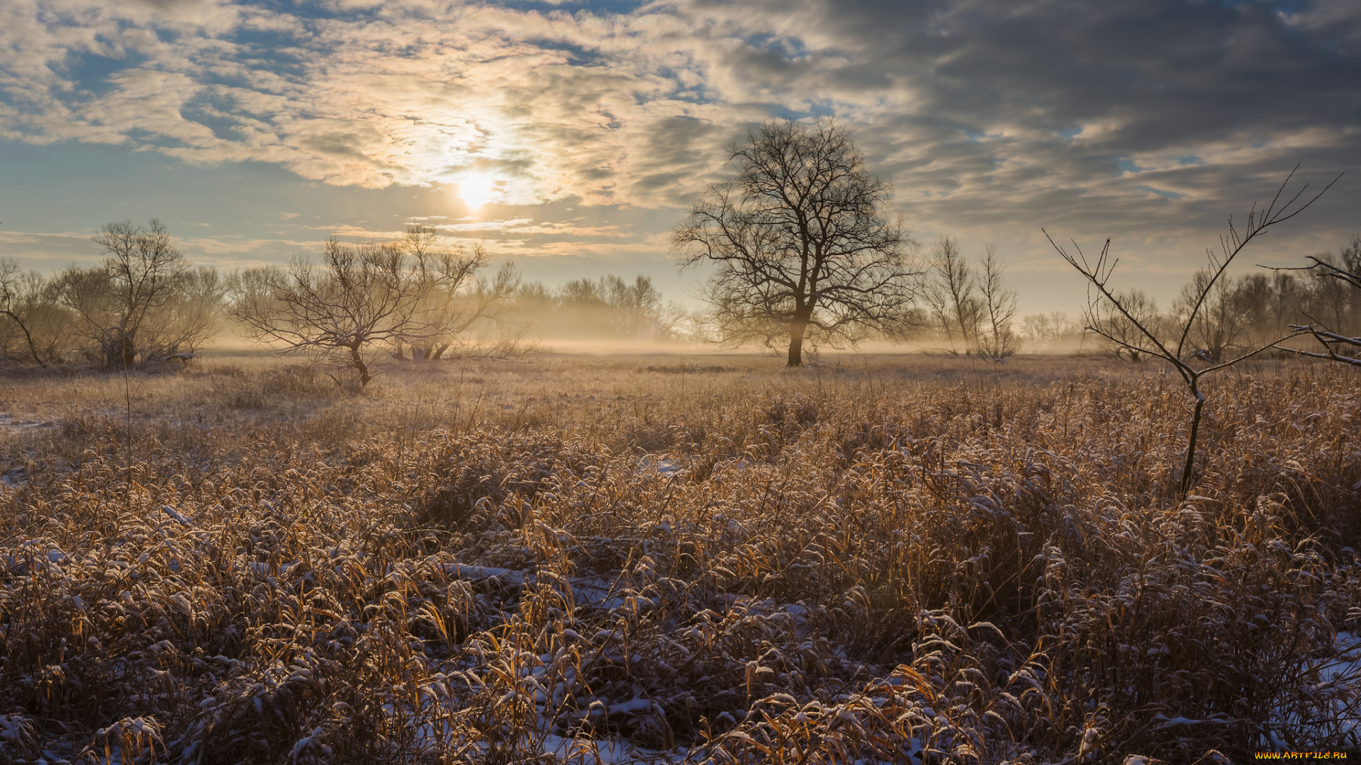 природа, пейзажи, простор