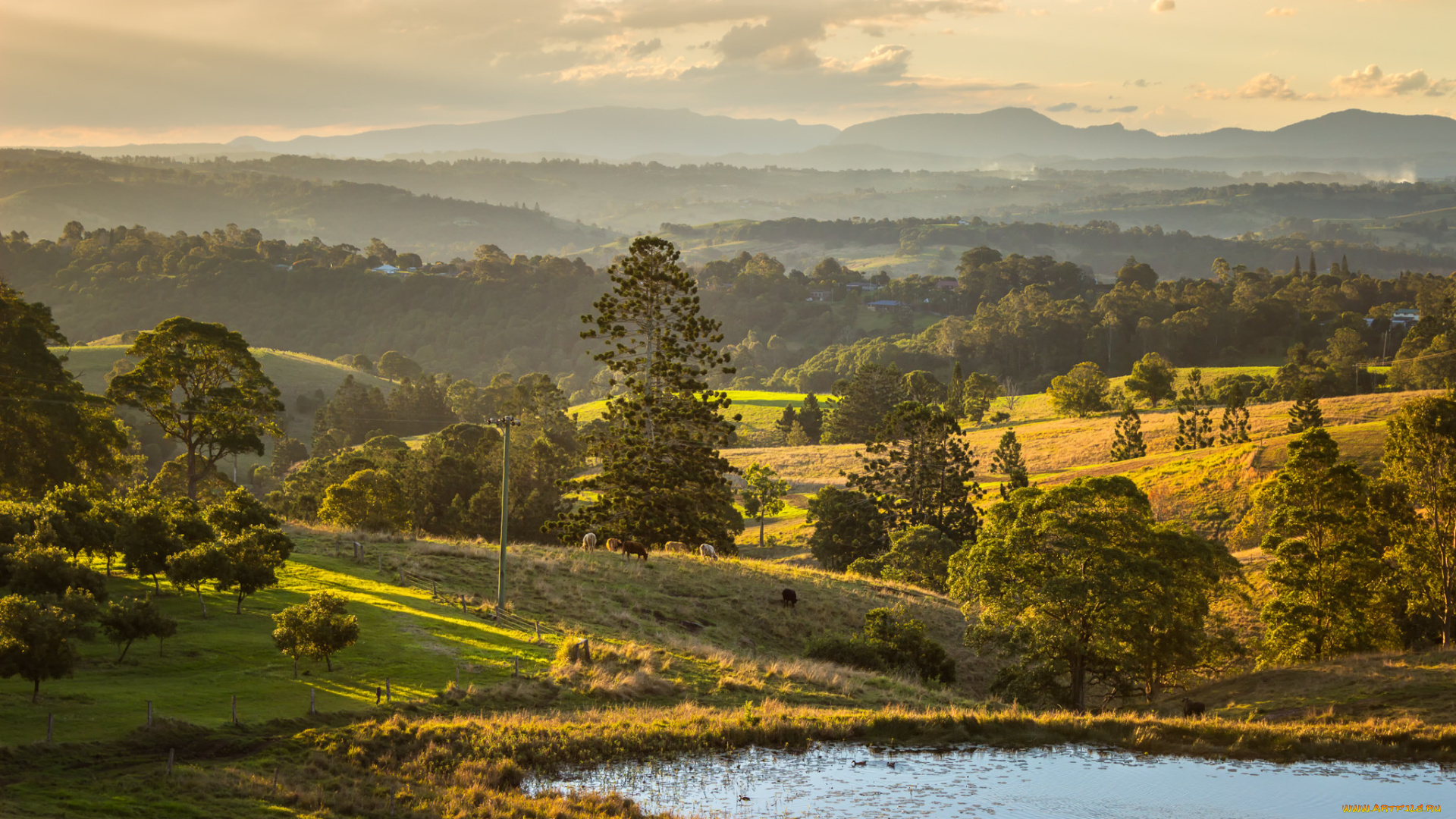природа, пейзажи, простор