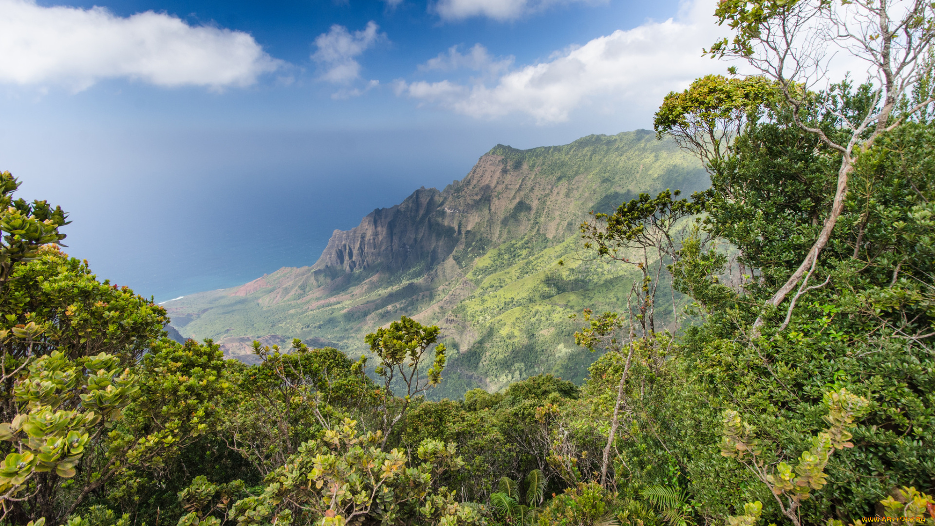 природа, побережье, простор