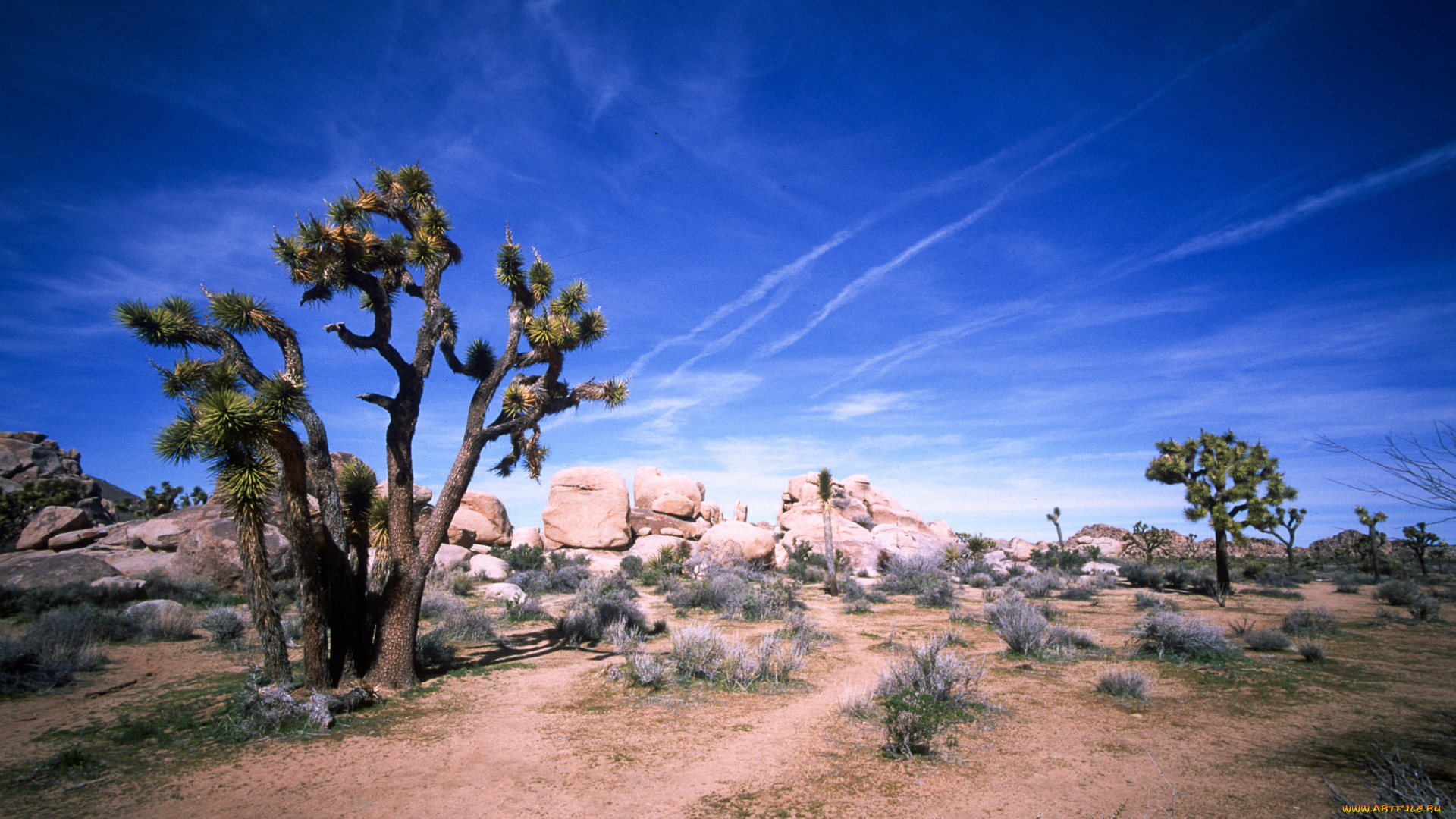 природа, пустыни, простор