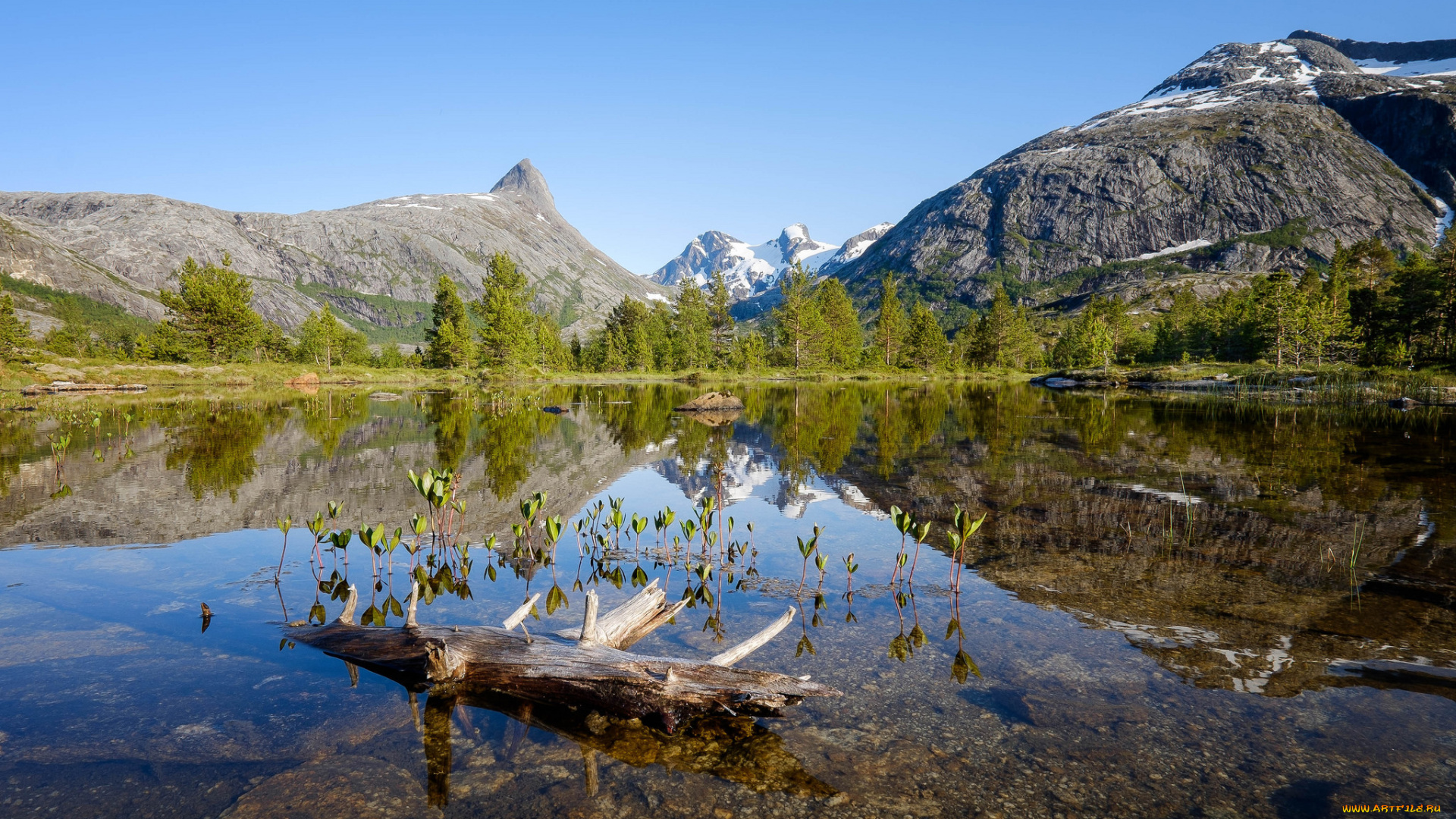 природа, реки, озера, простор