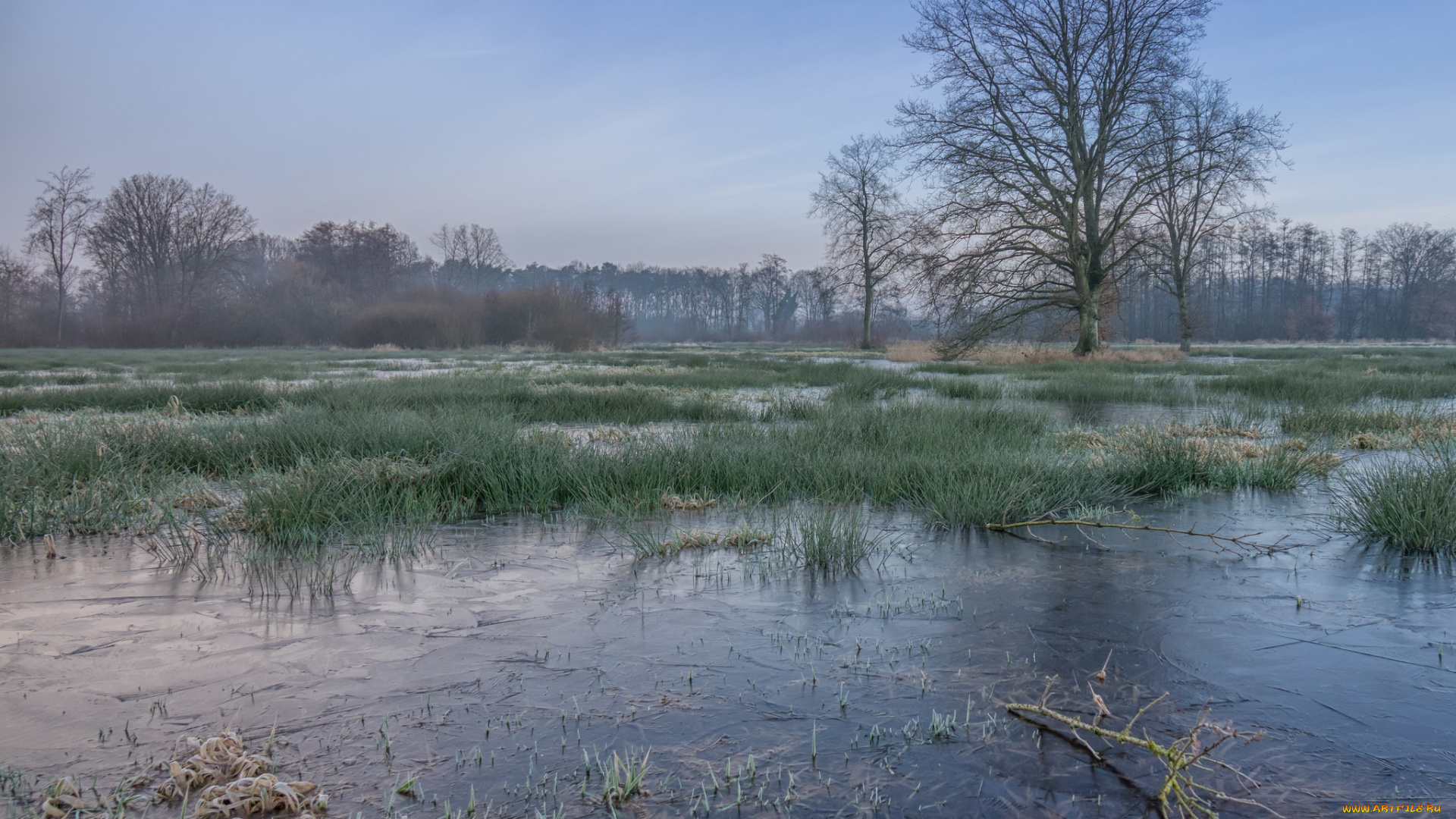 природа, реки, озера, простор