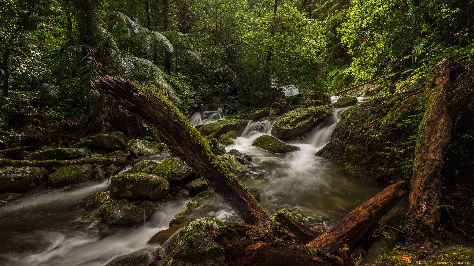 природа, реки, озера, простор