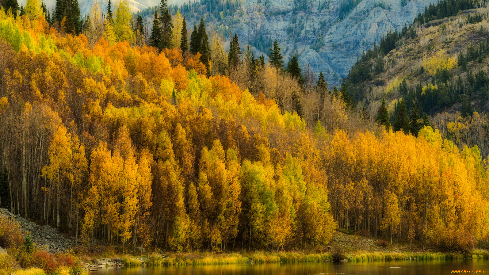 природа, реки, озера, простор