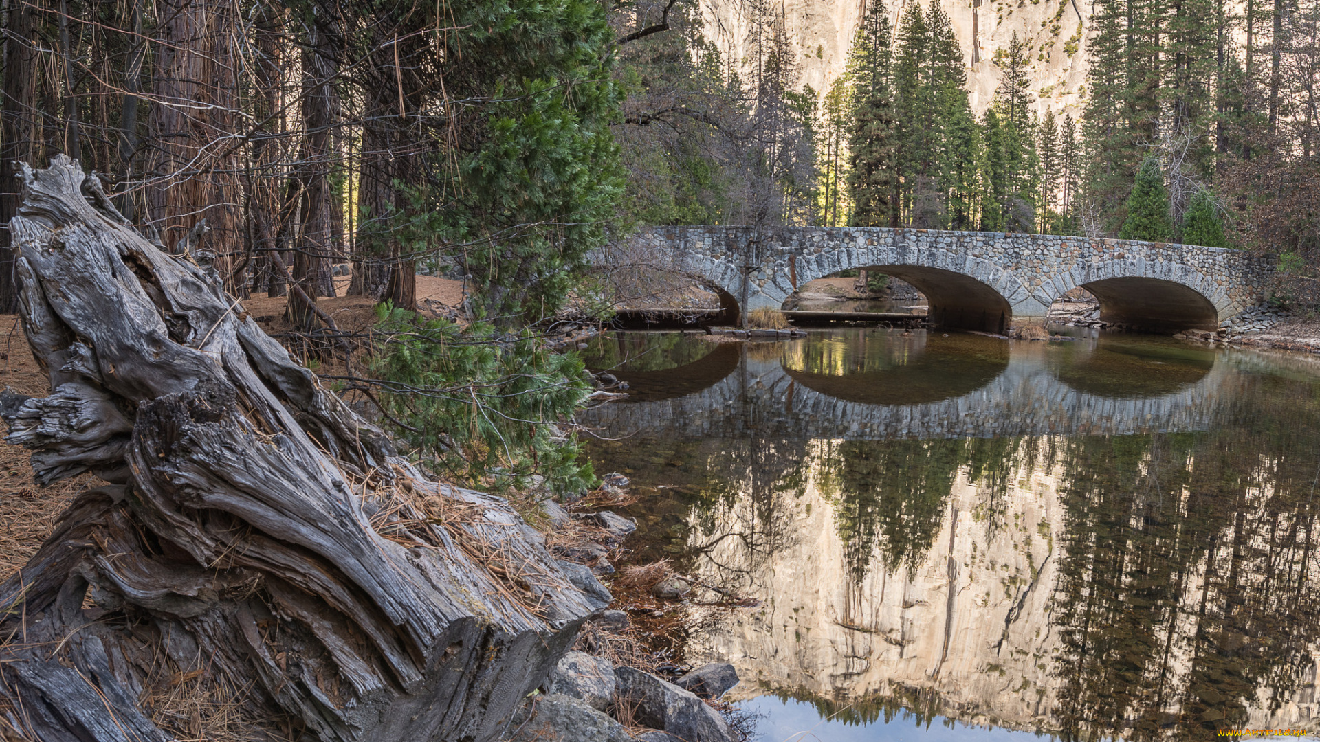 природа, реки, озера, простор