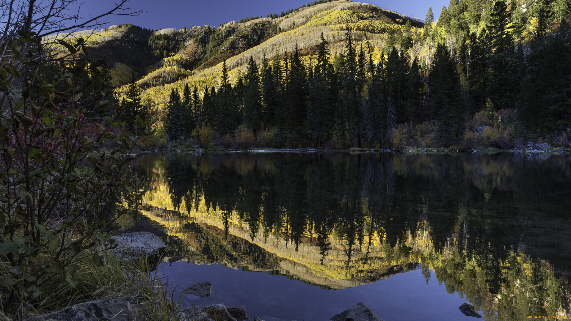 природа, реки, озера, простор