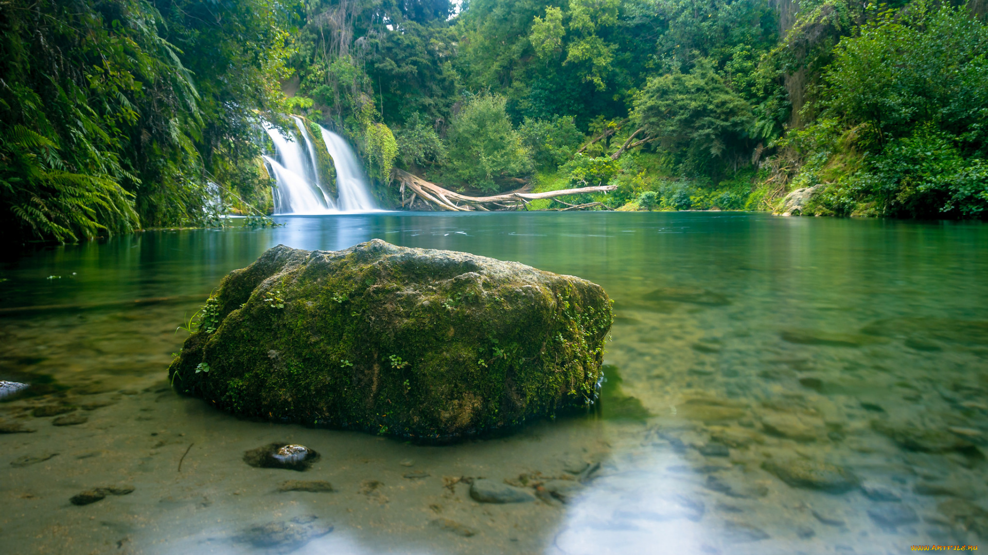 природа, реки, озера, простор