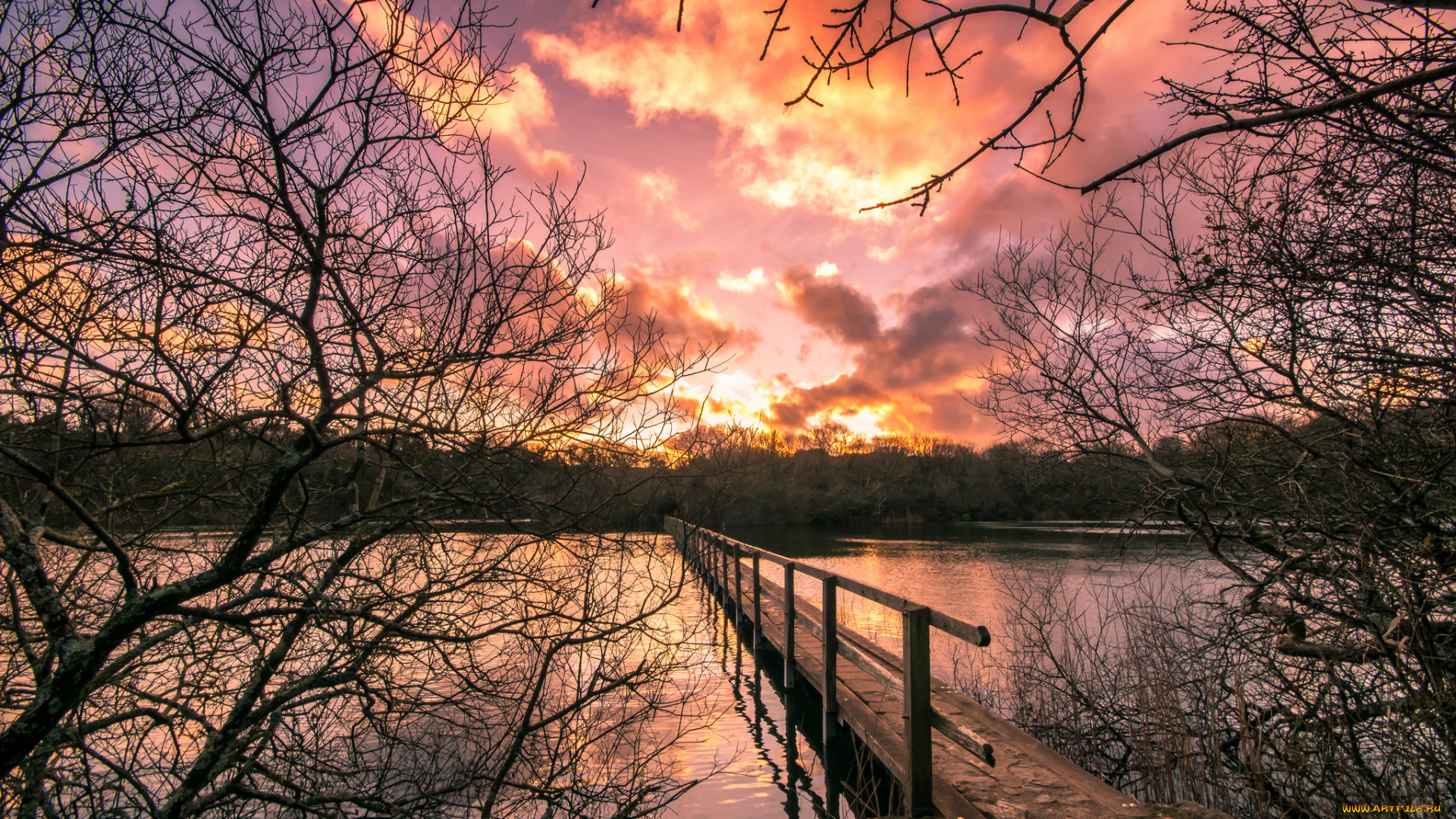 природа, реки, озера, простор