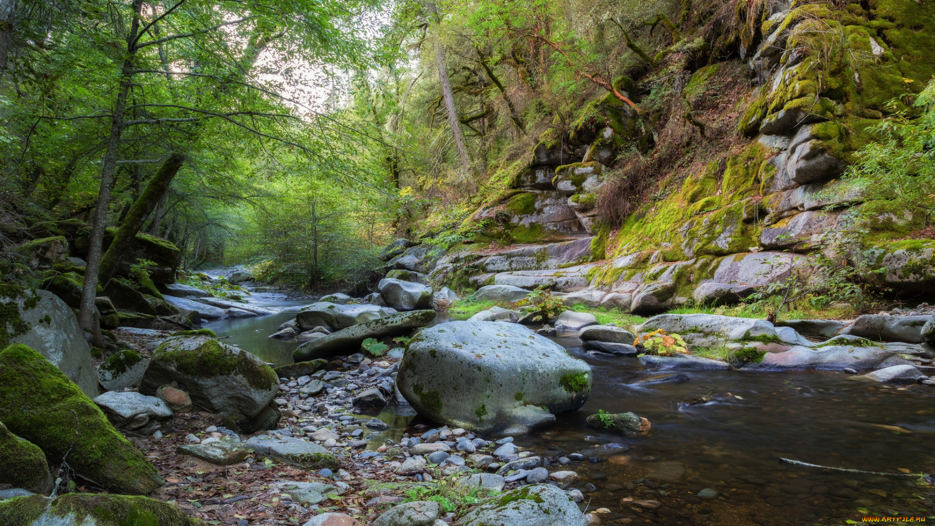 природа, реки, озера, простор