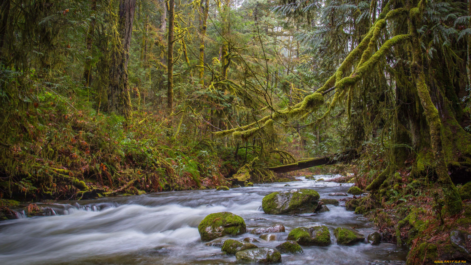 природа, реки, озера, простор