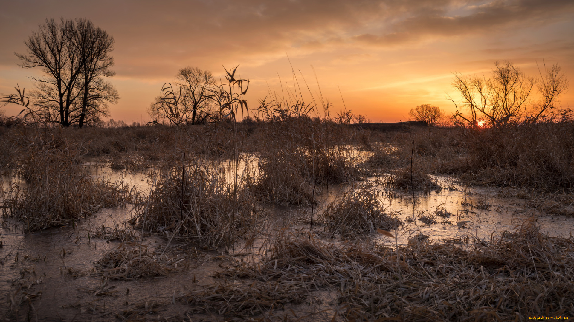 природа, восходы, закаты, простор