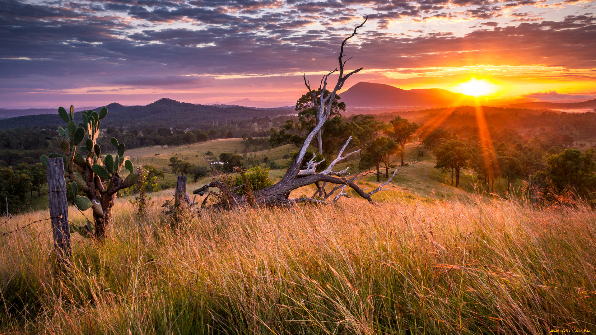 природа, восходы, закаты, простор