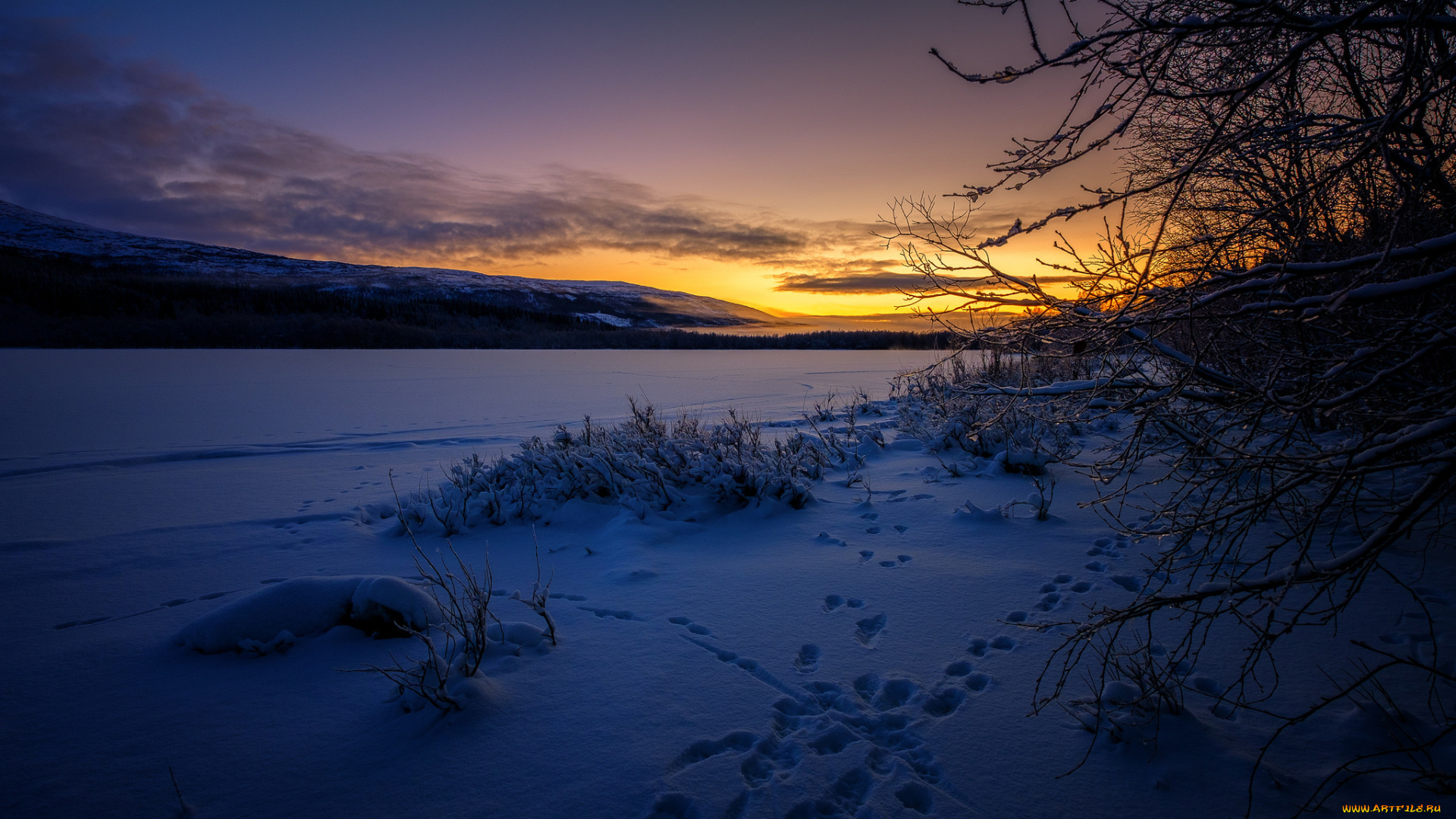 природа, зима, простор