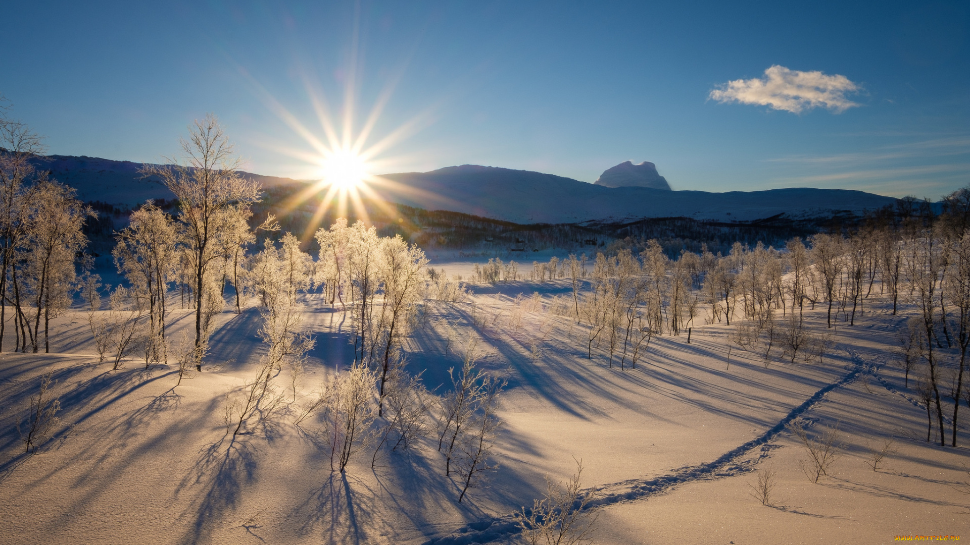 природа, зима, простор