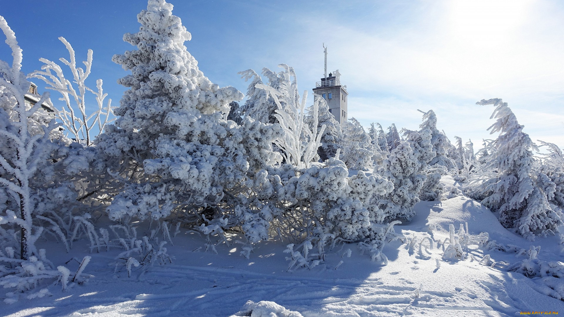 природа, зима, простор