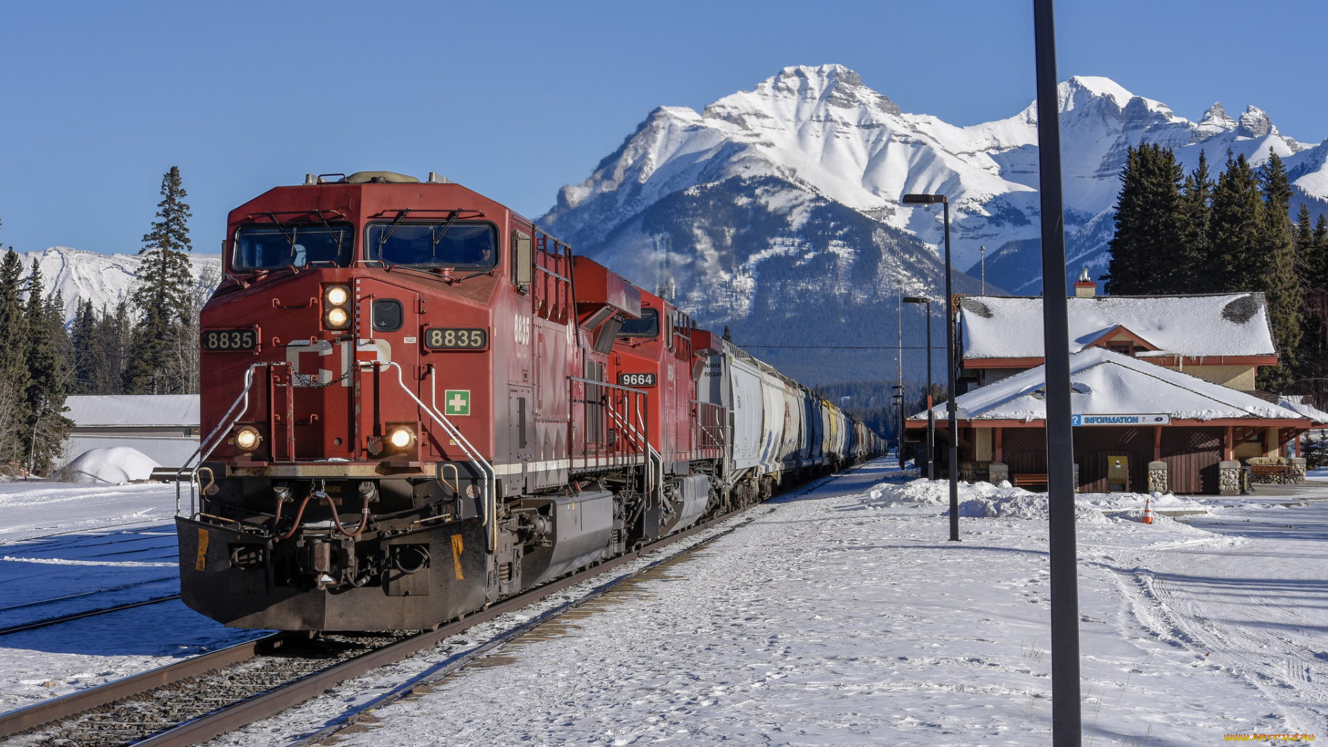 техника, поезда, состав, локомотив