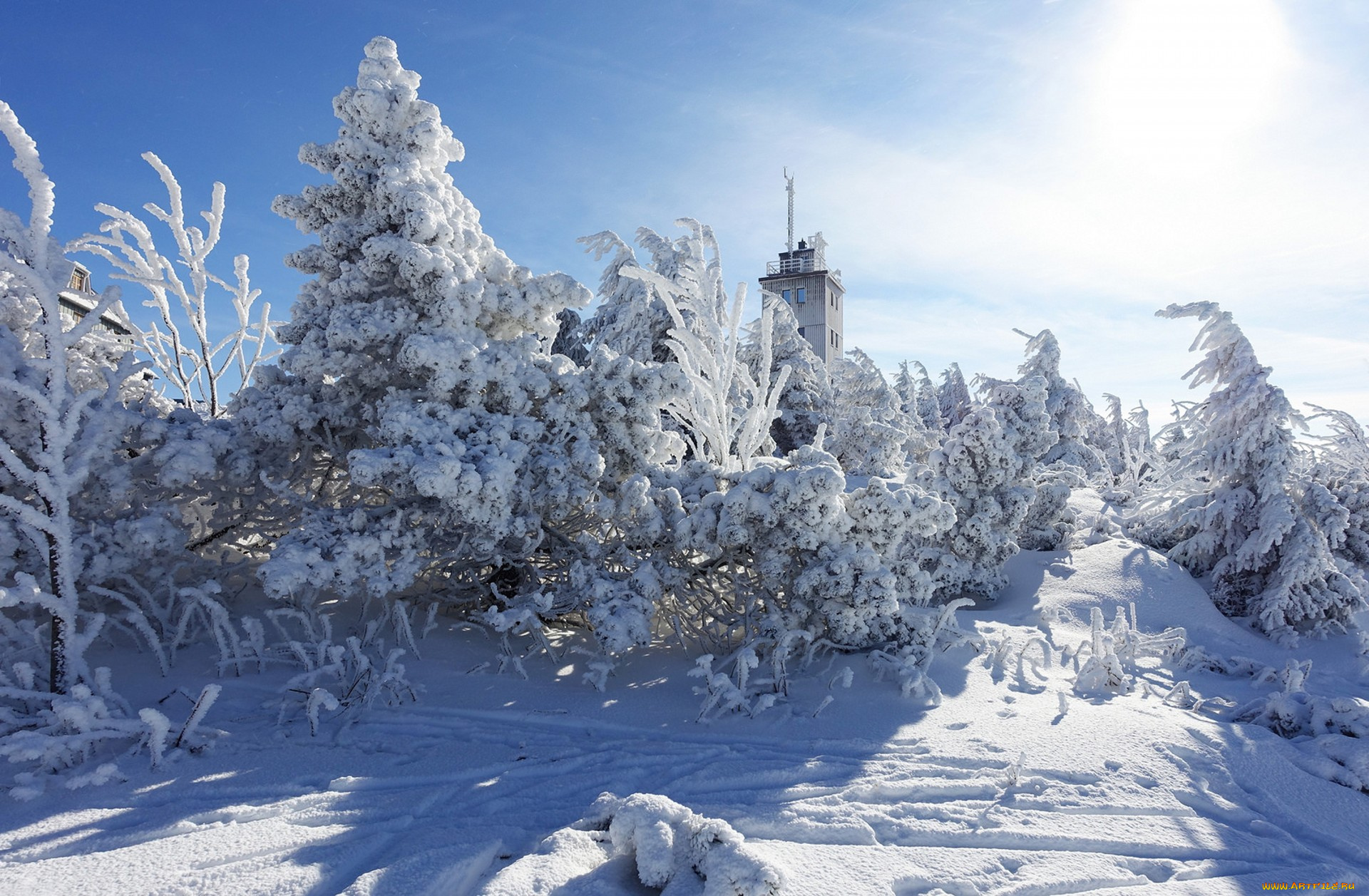 природа, зима, простор