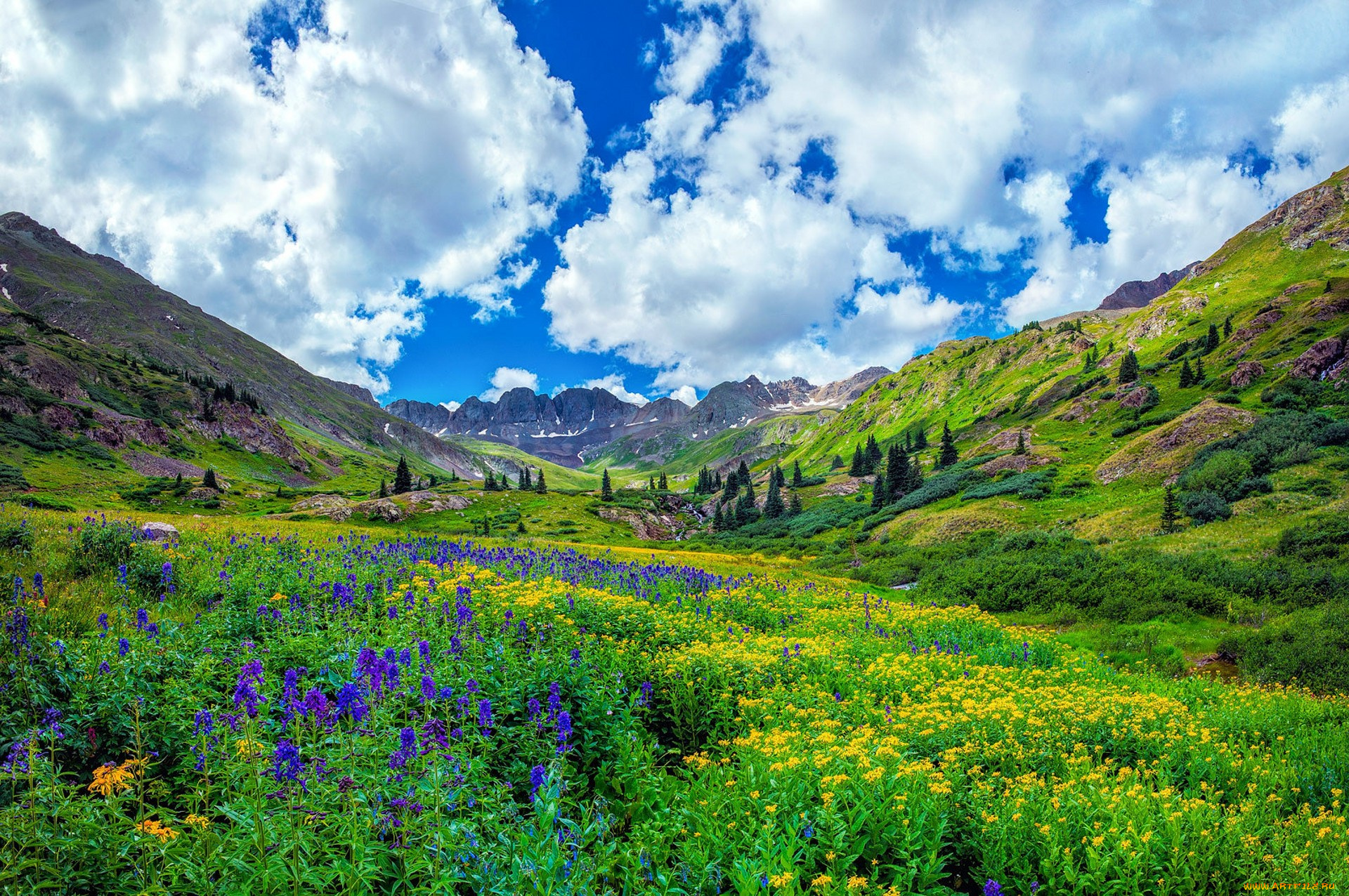 природа, луга, простор