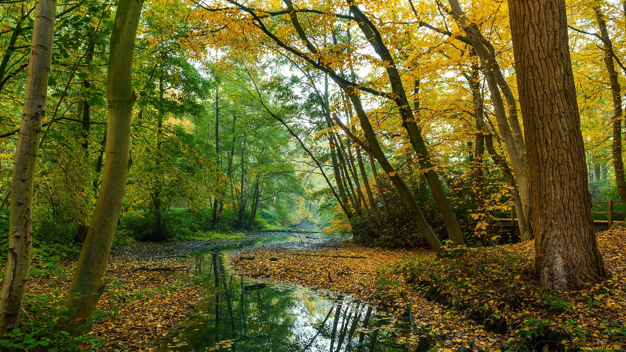 природа, реки, озера, простор