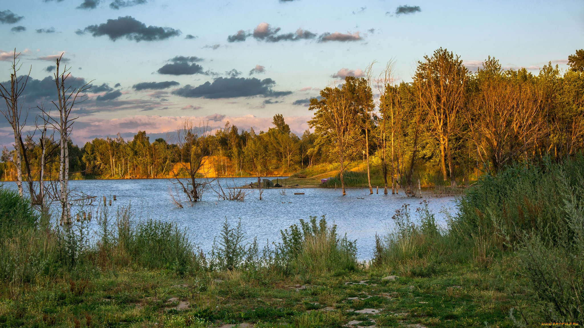 природа, реки, озера, простор