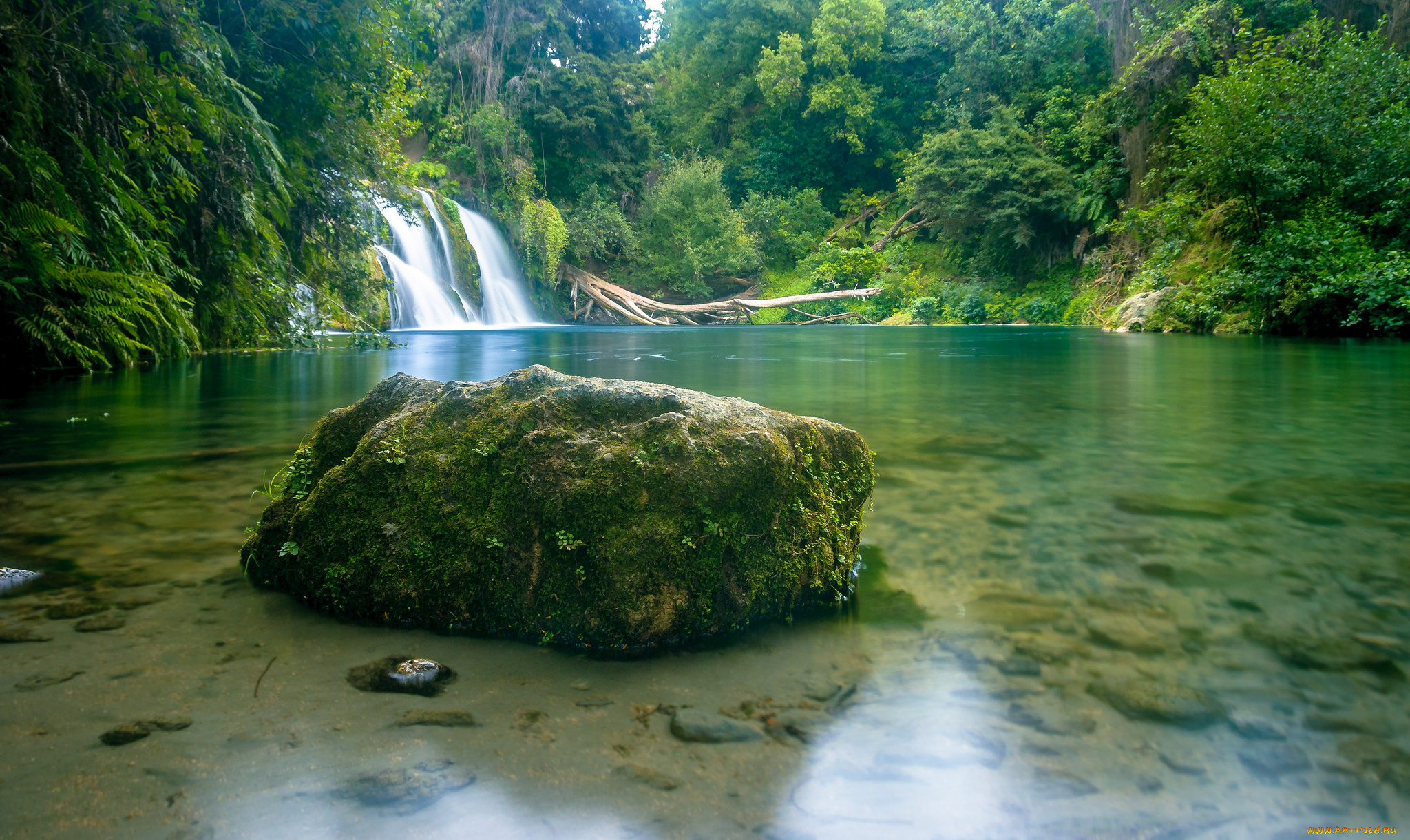 природа, реки, озера, простор