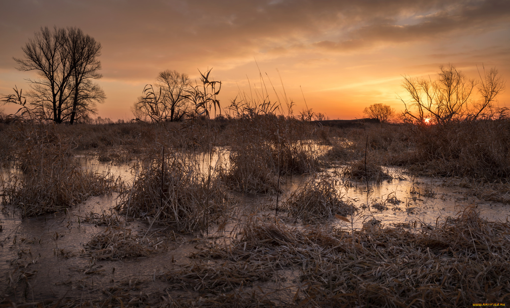 природа, восходы, закаты, простор