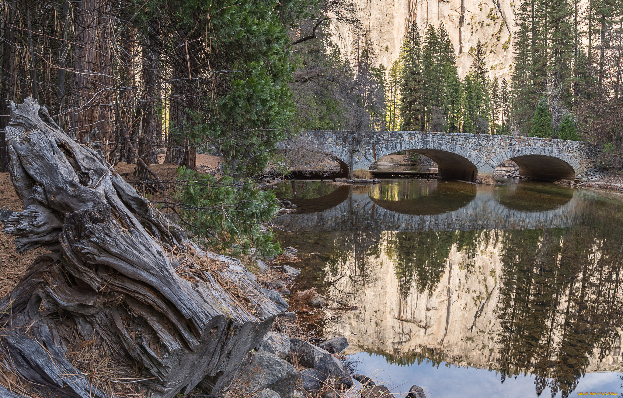 природа, реки, озера, простор